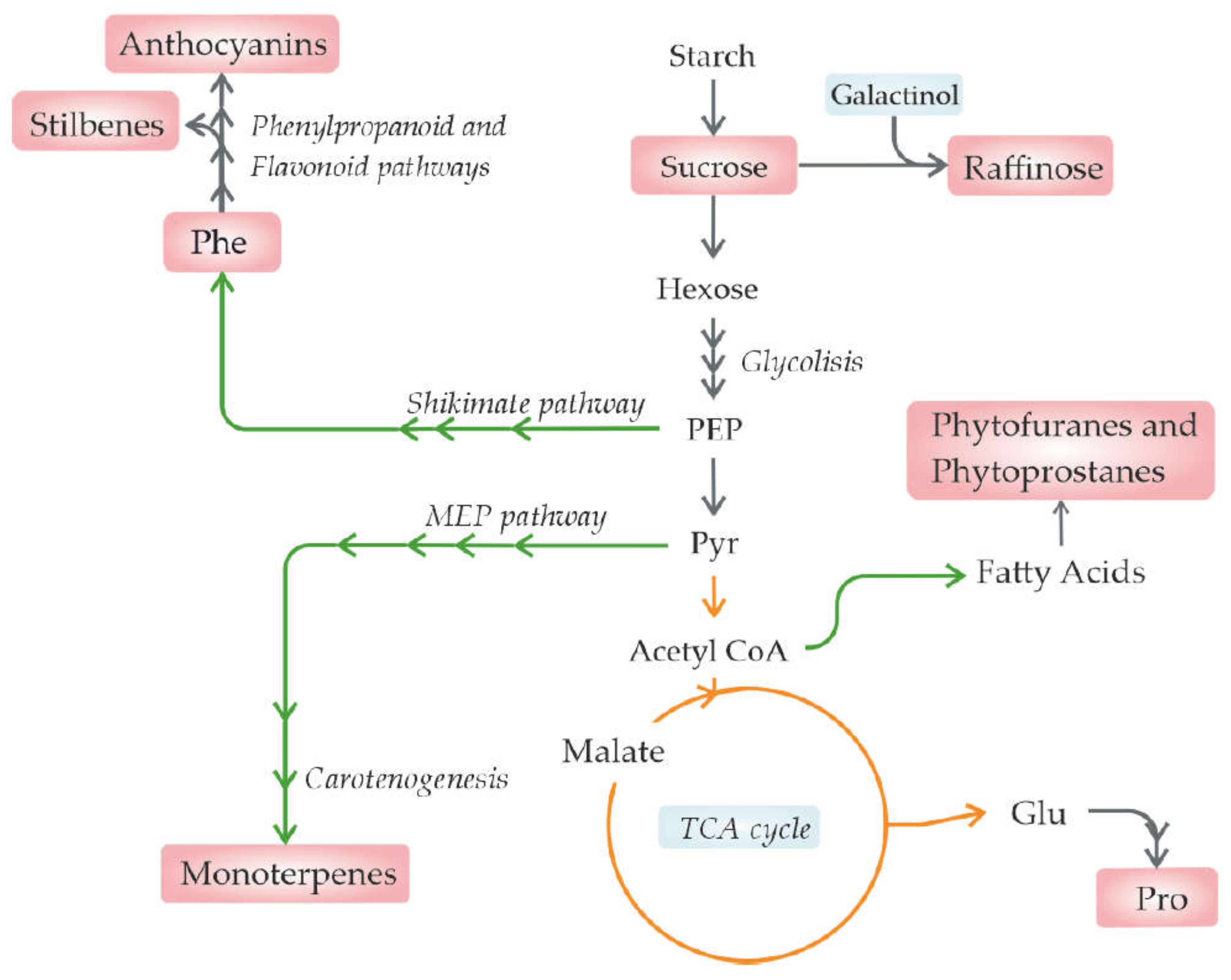 Metabolites 11 00461 g002