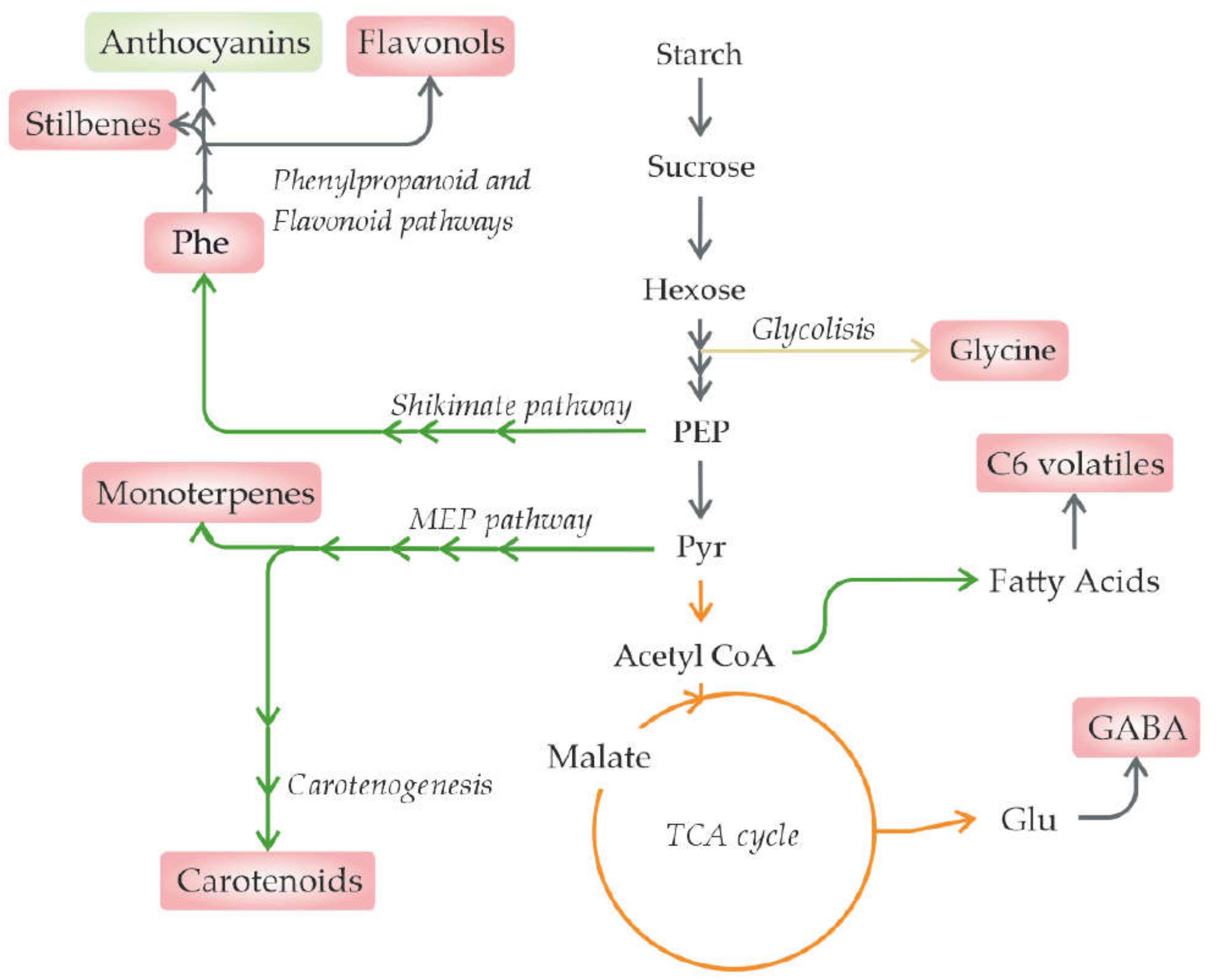 Metabolites 11 00461 g003