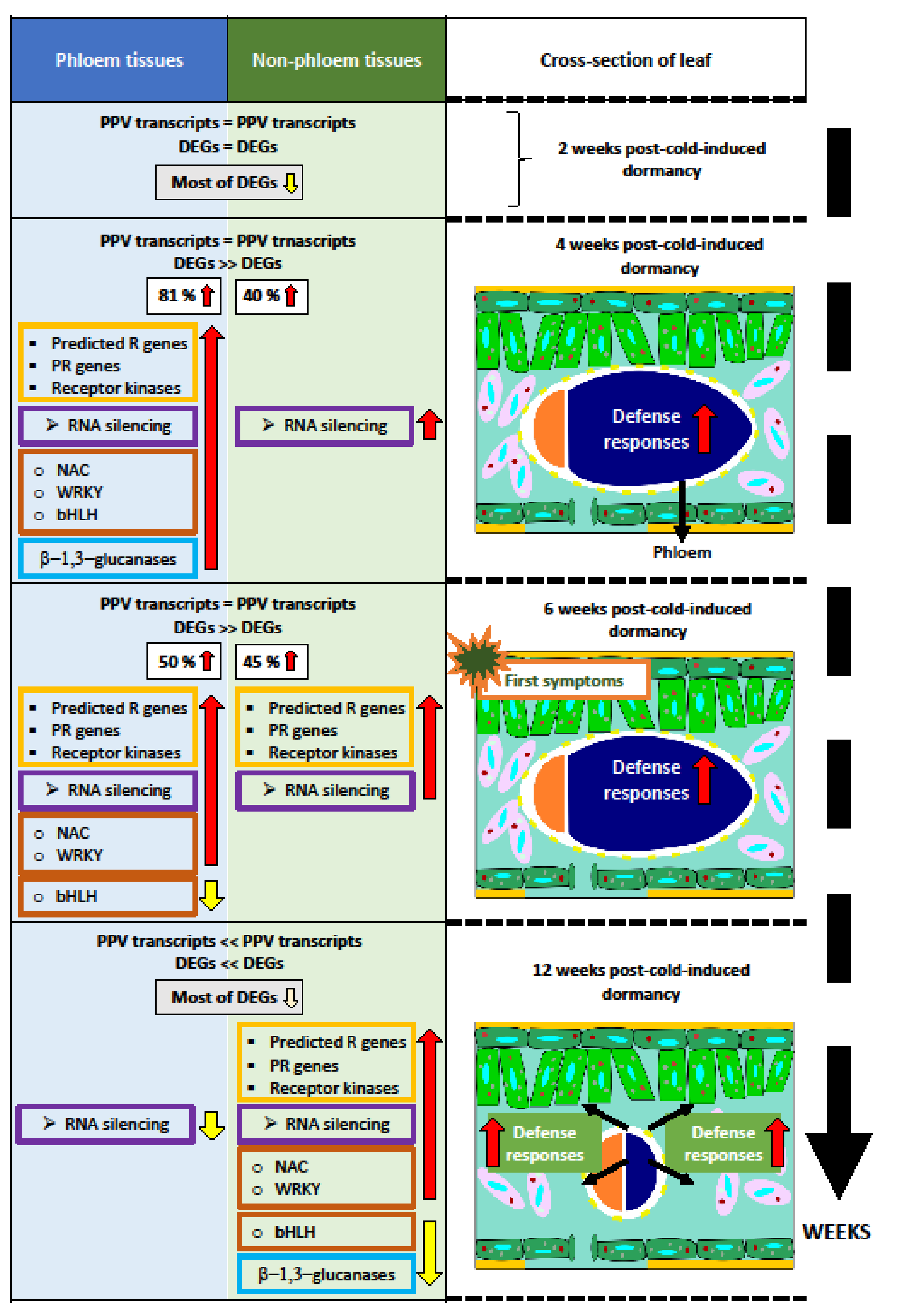 Metabolites 11 00465 g003 Metabolites 11 00465 g003