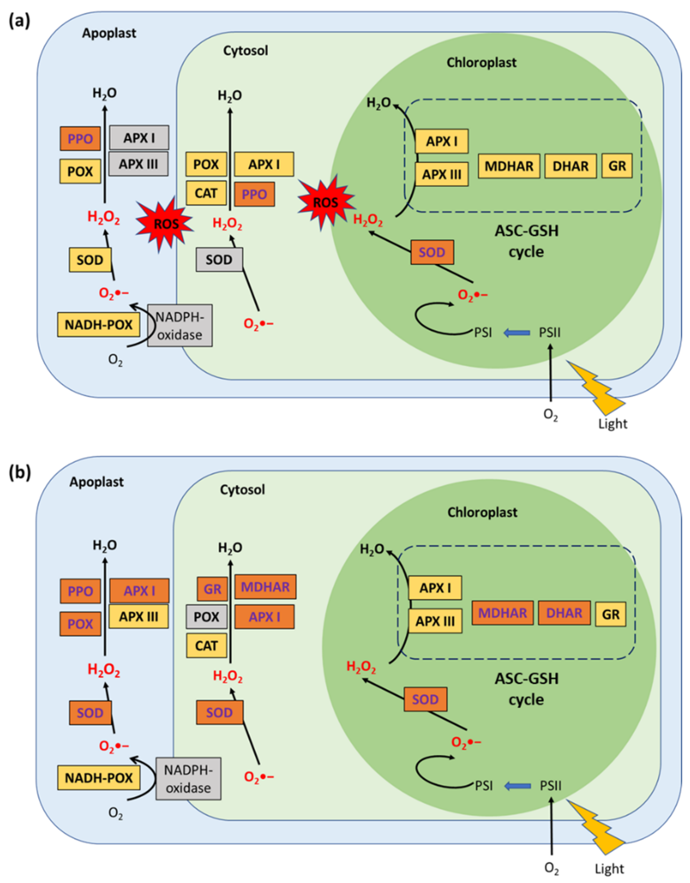 Metabolites 11 00465 g004 Metabolites 11 00465 g004