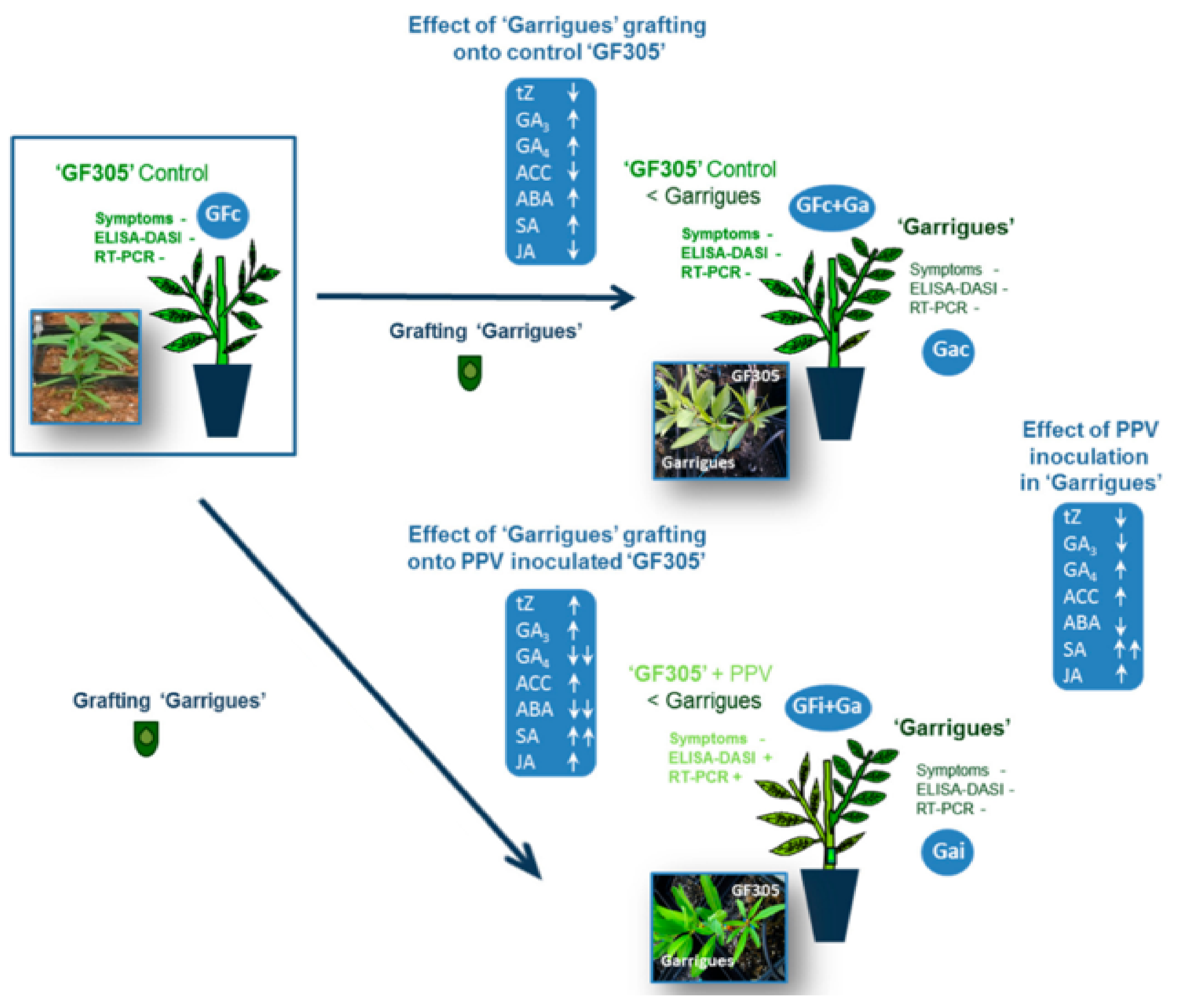 Metabolites 11 00465 g005 Metabolites 11 00465 g005