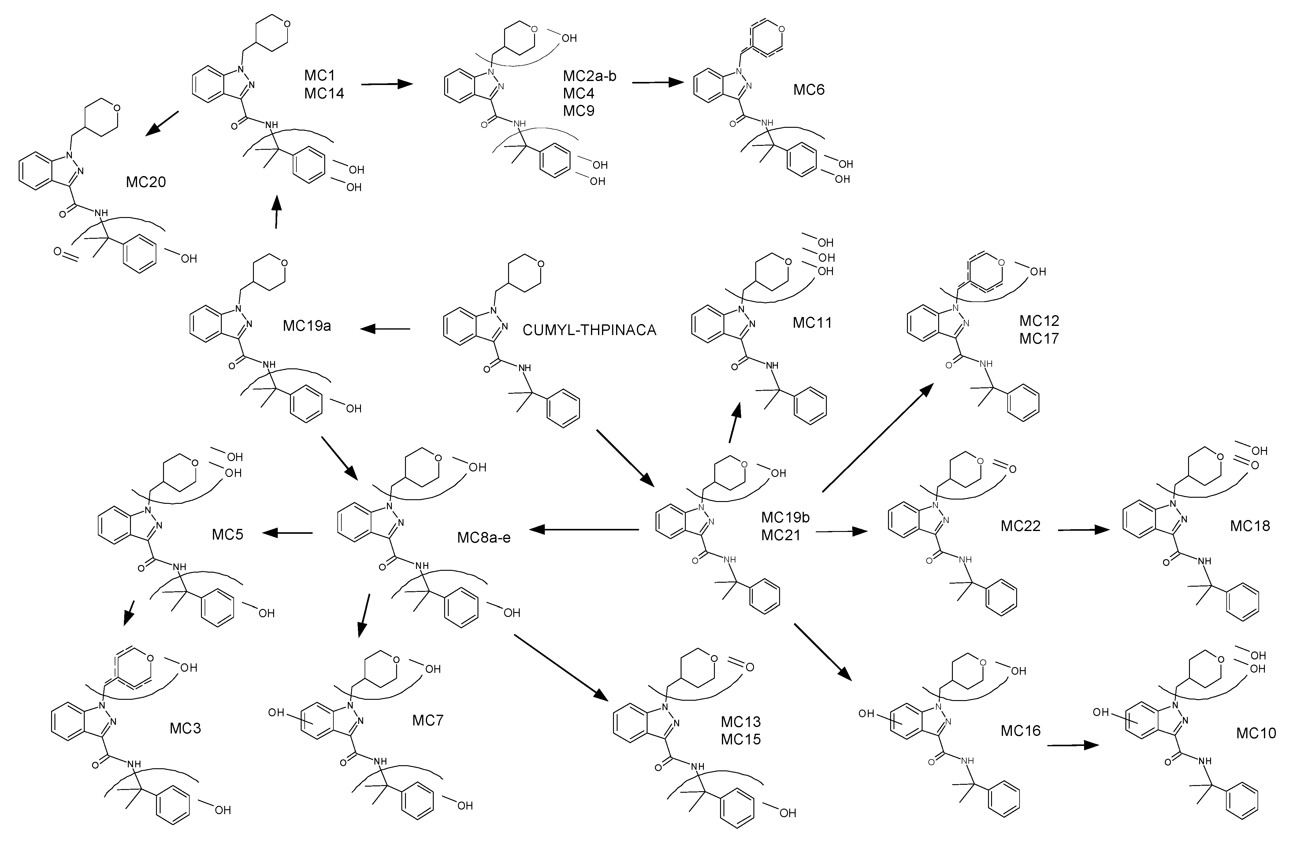 Metabolites 11 00470 g002