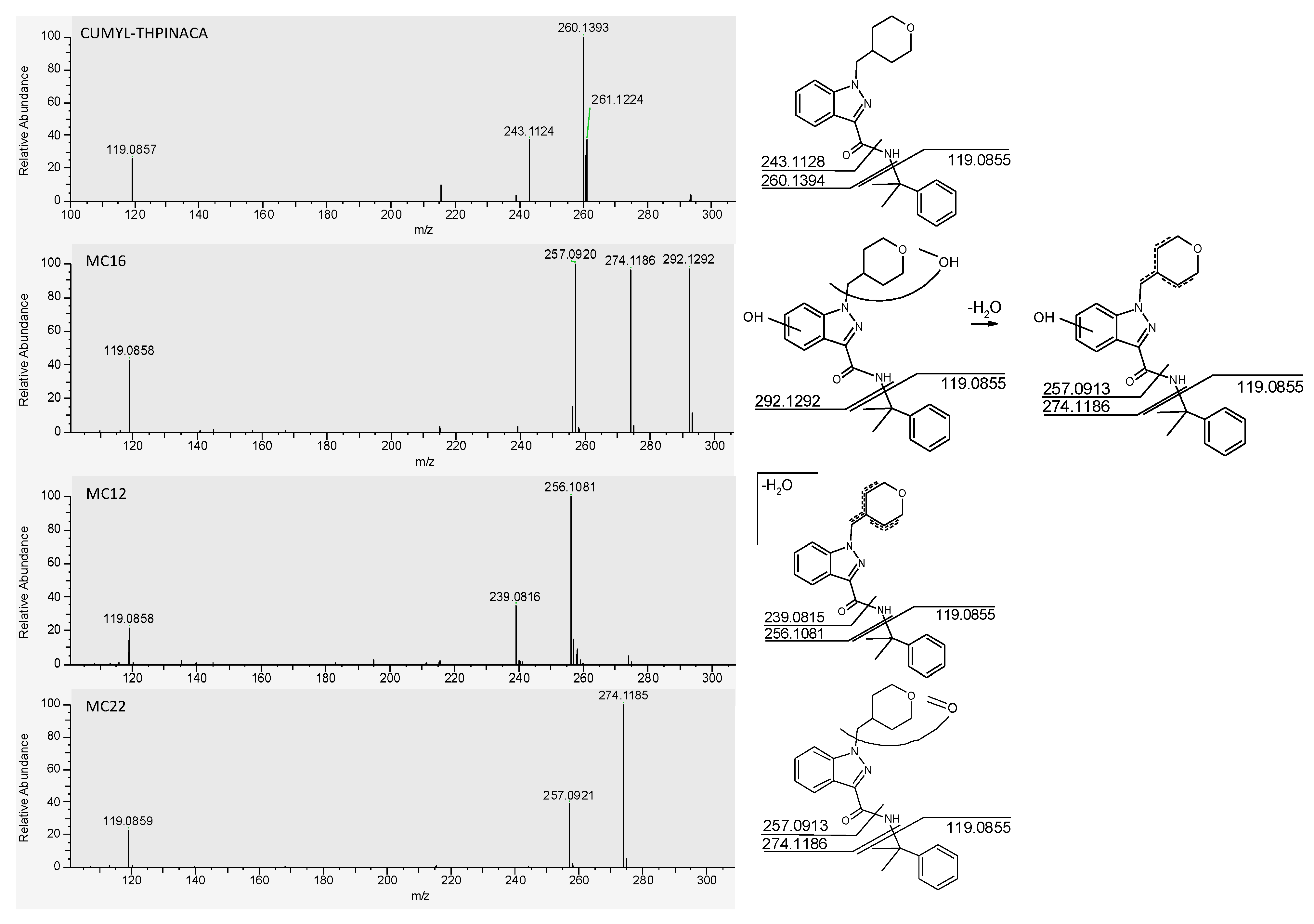 Metabolites 11 00470 g003