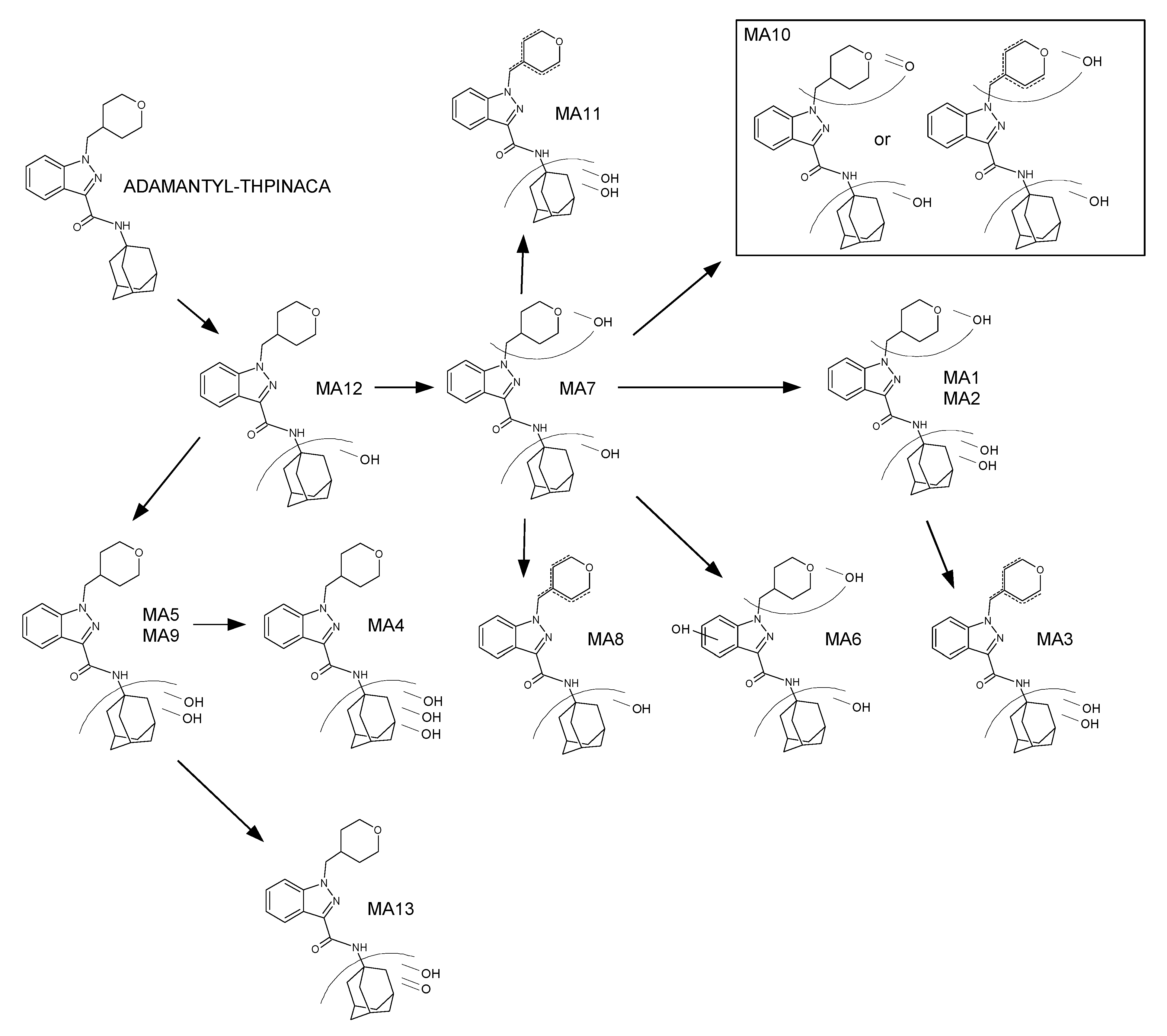 Metabolites 11 00470 g005