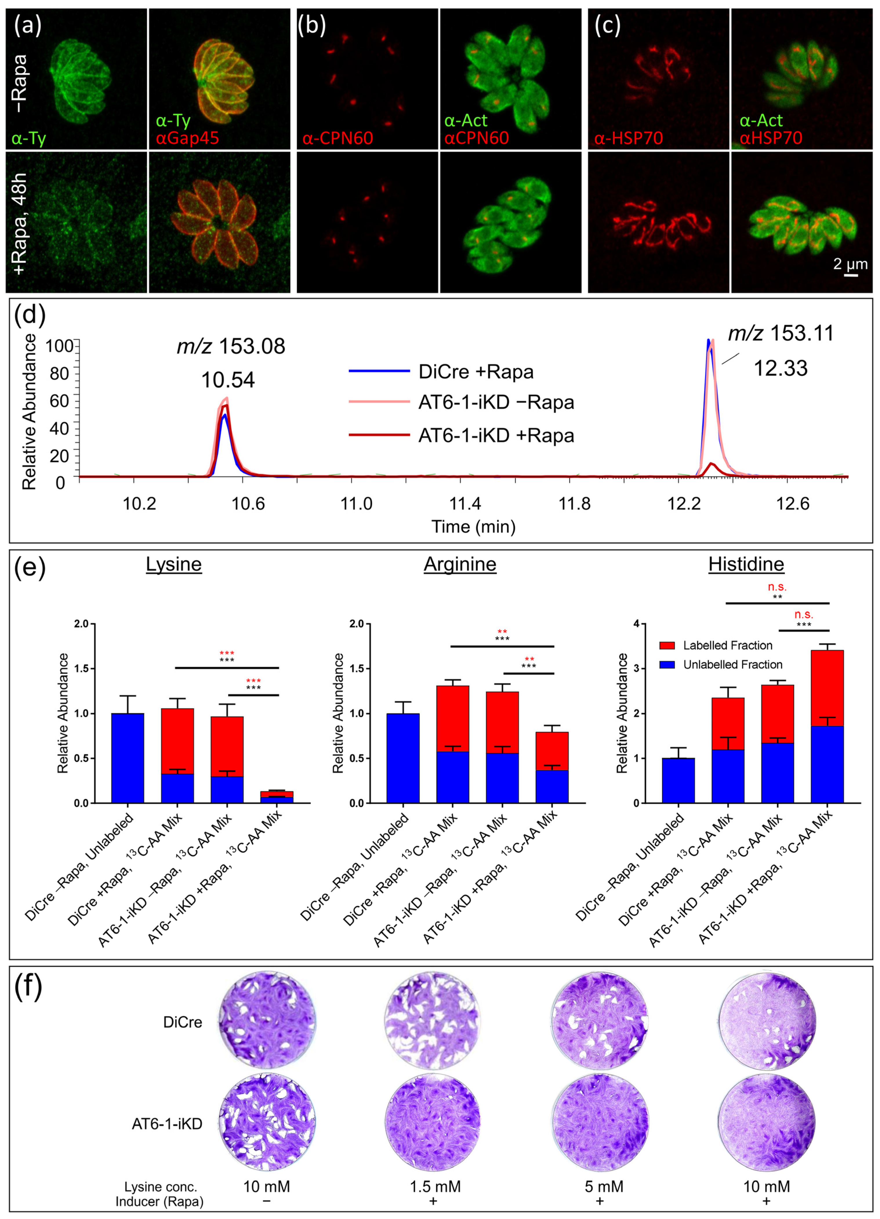 Metabolites 11 00476 g003 550