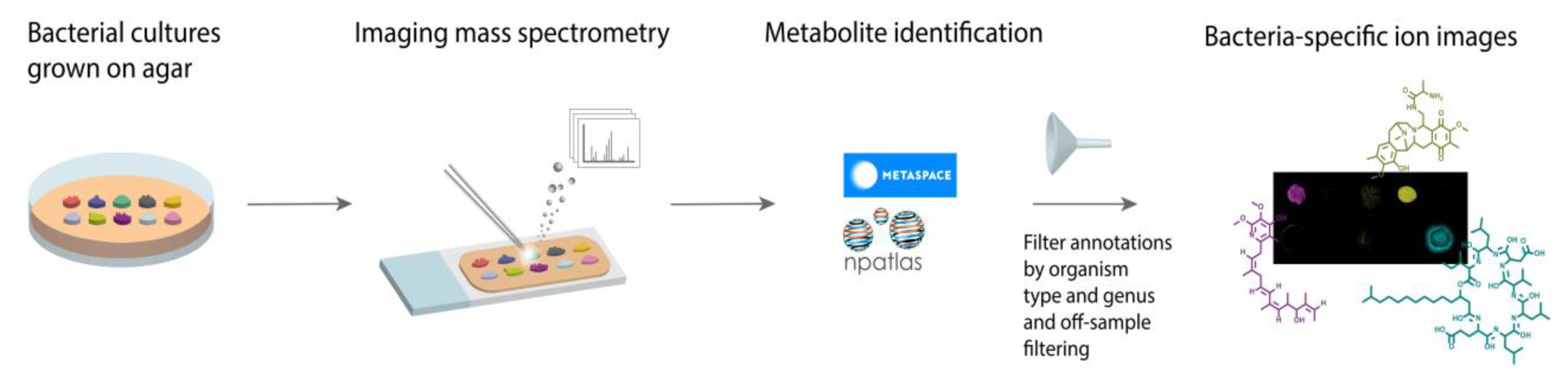Metabolites 11 00477 g001 550
