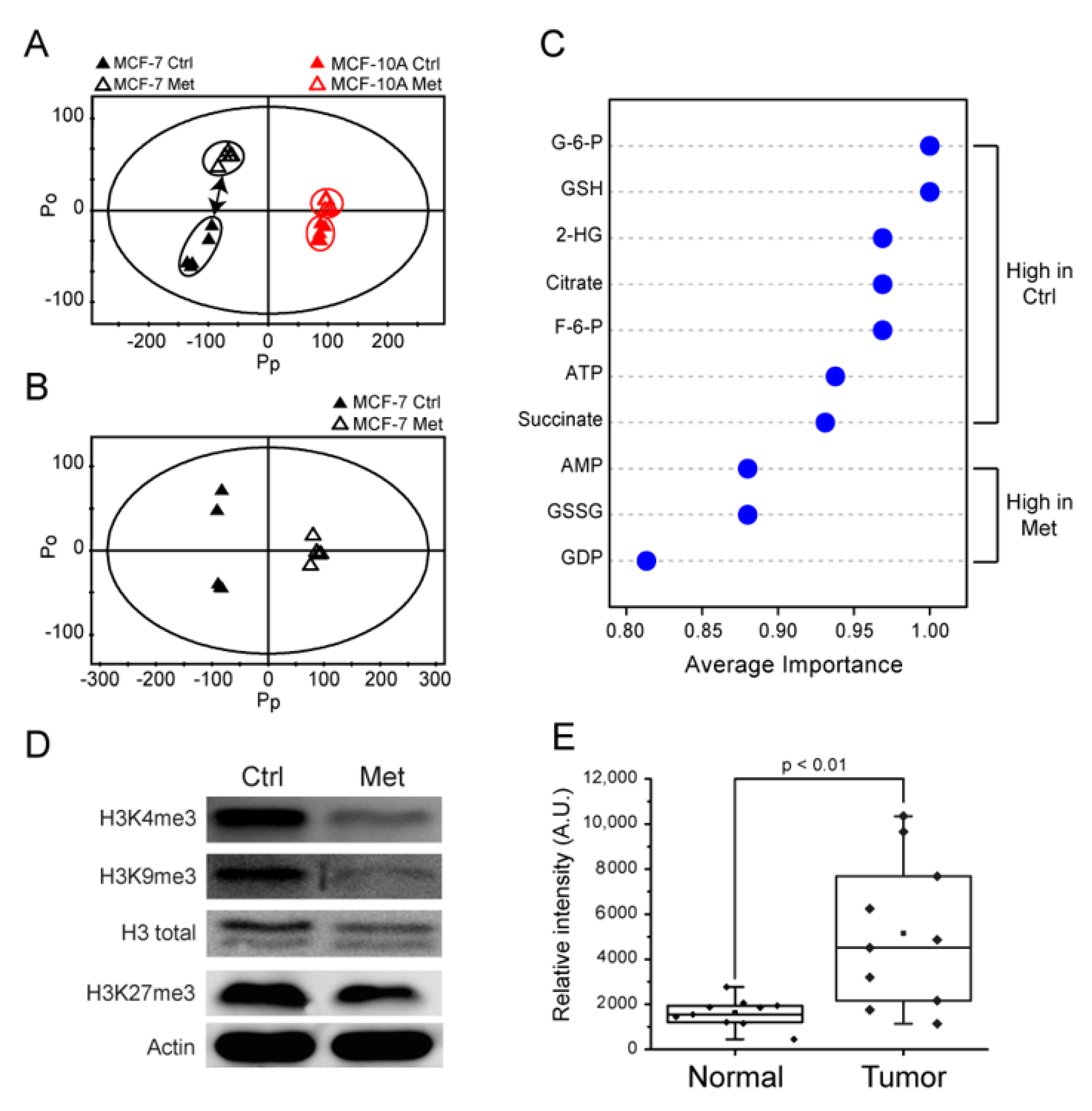Metabolites 11 00480 g003