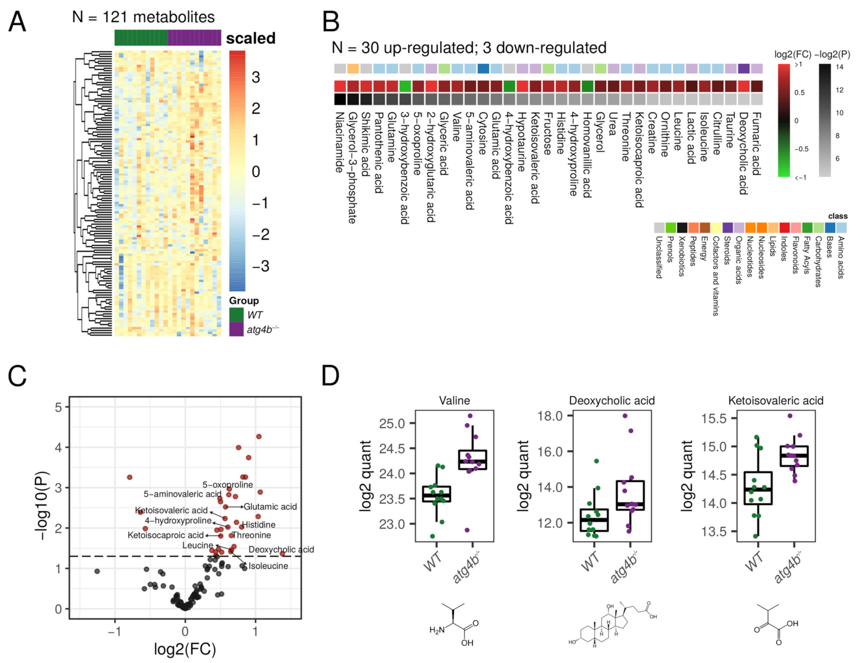 Metabolites 11 00481 g005 Metabolites 11 00481 g005