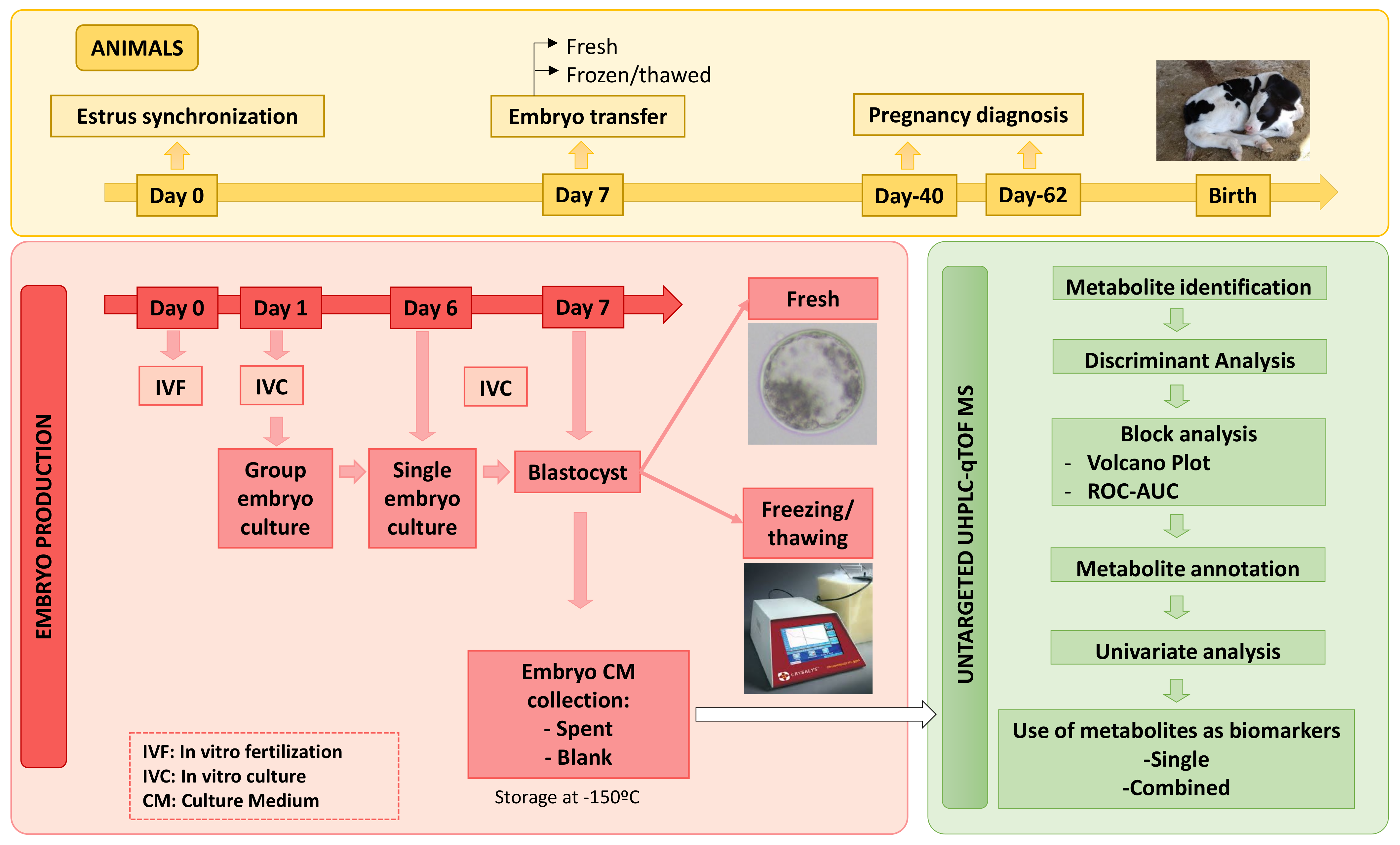 Metabolites 11 00484 g008