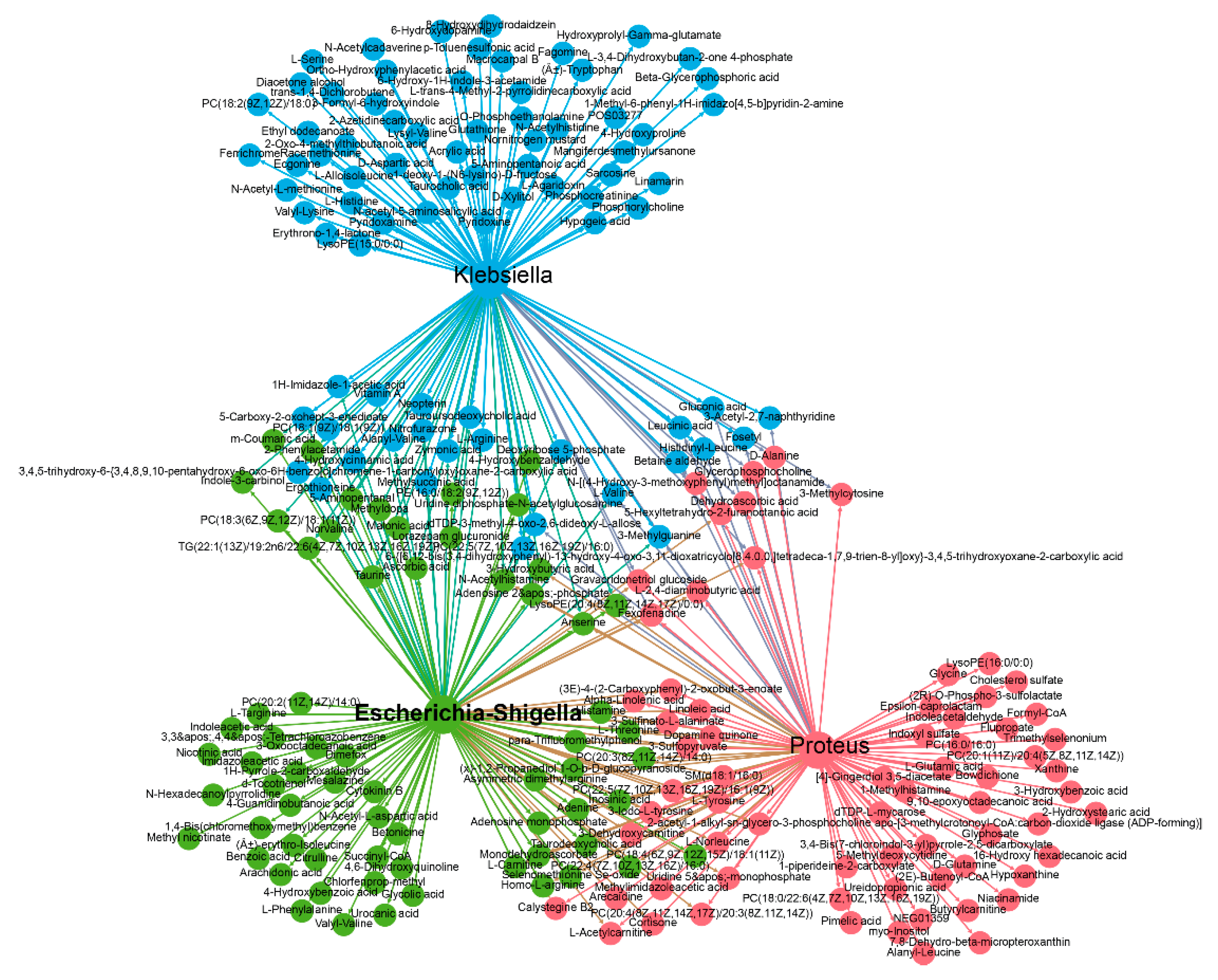 Metabolites 11 00487 g008 550