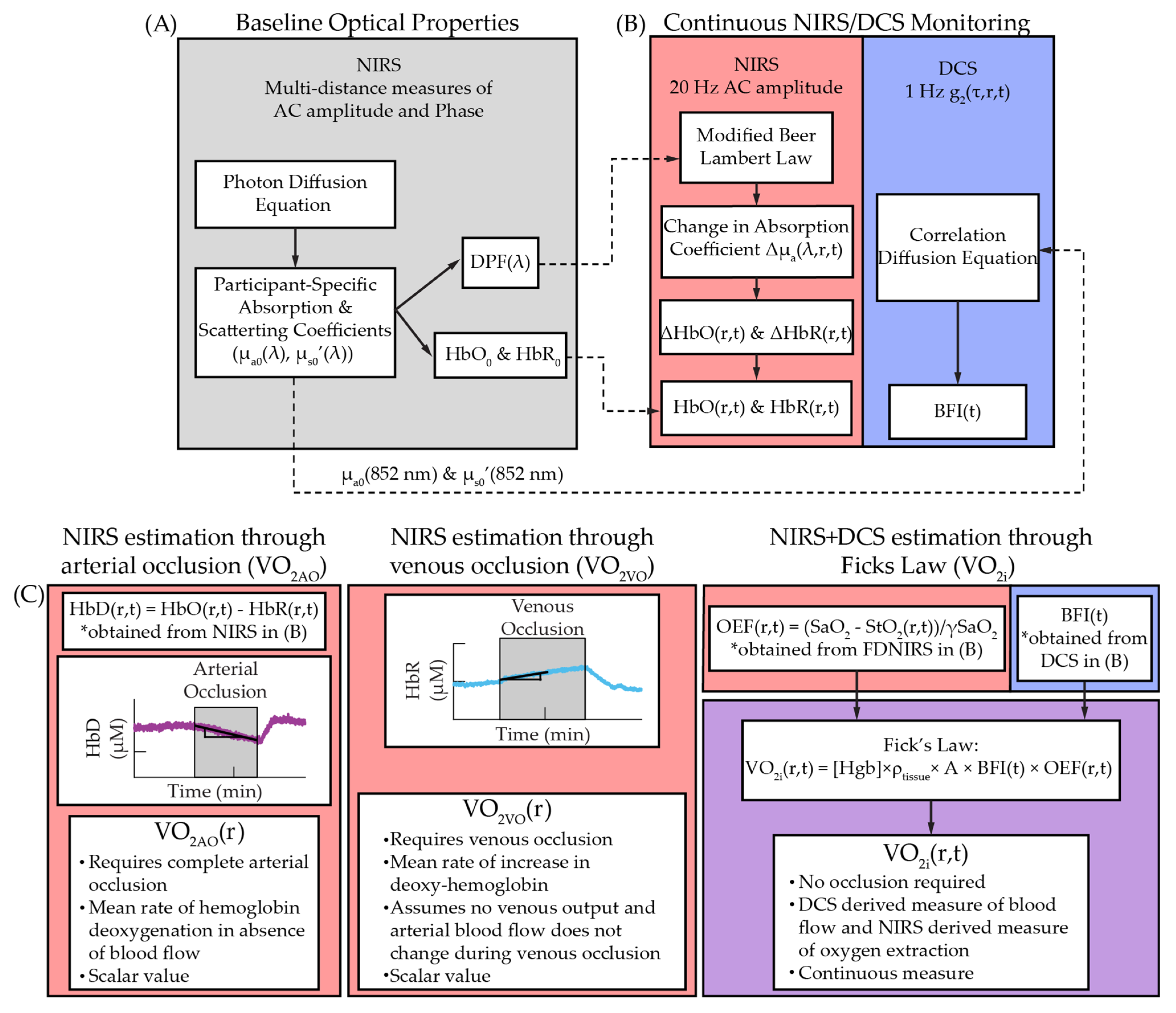 Metabolites 11 00496 g005