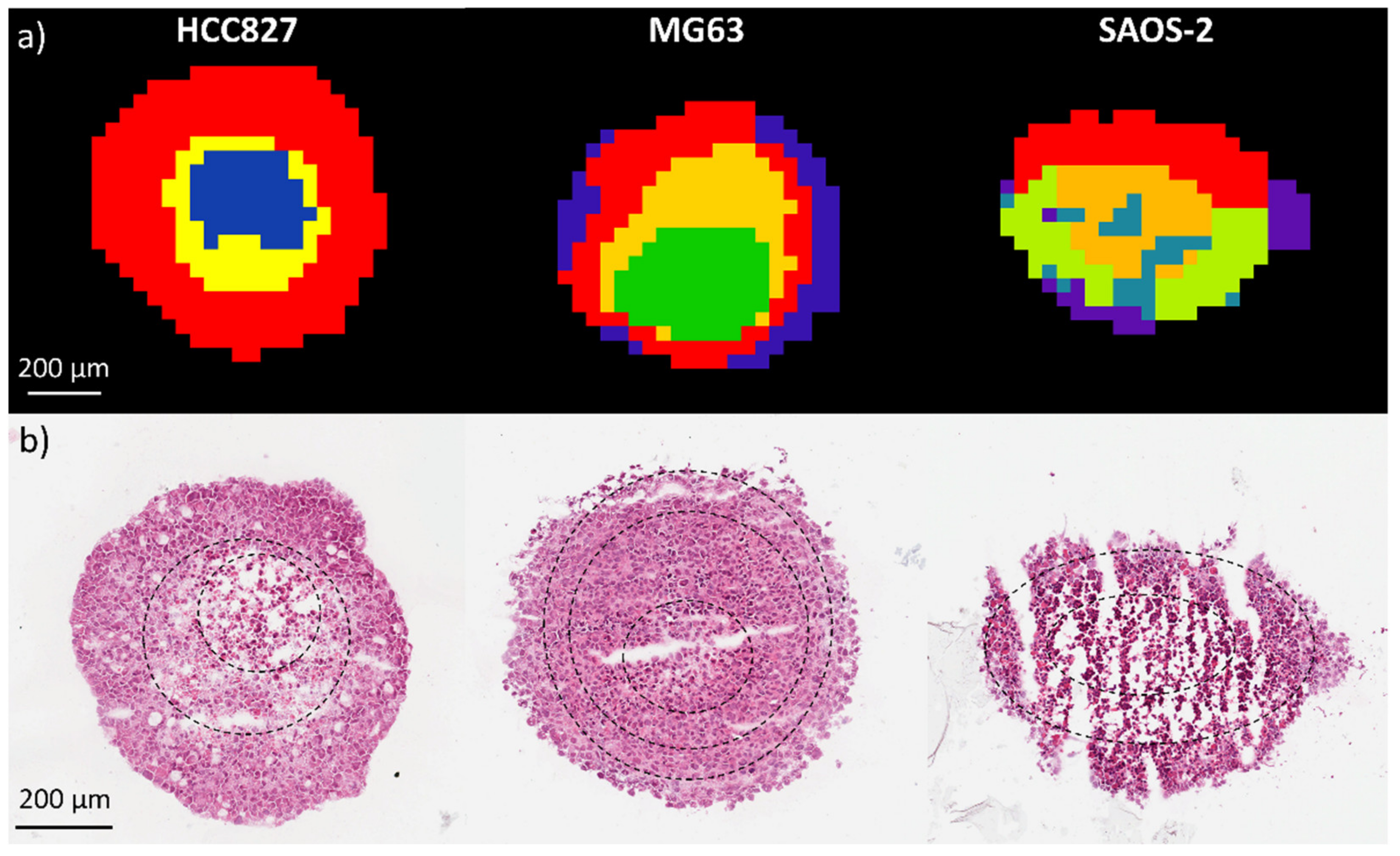 Metabolites 11 00506 g001