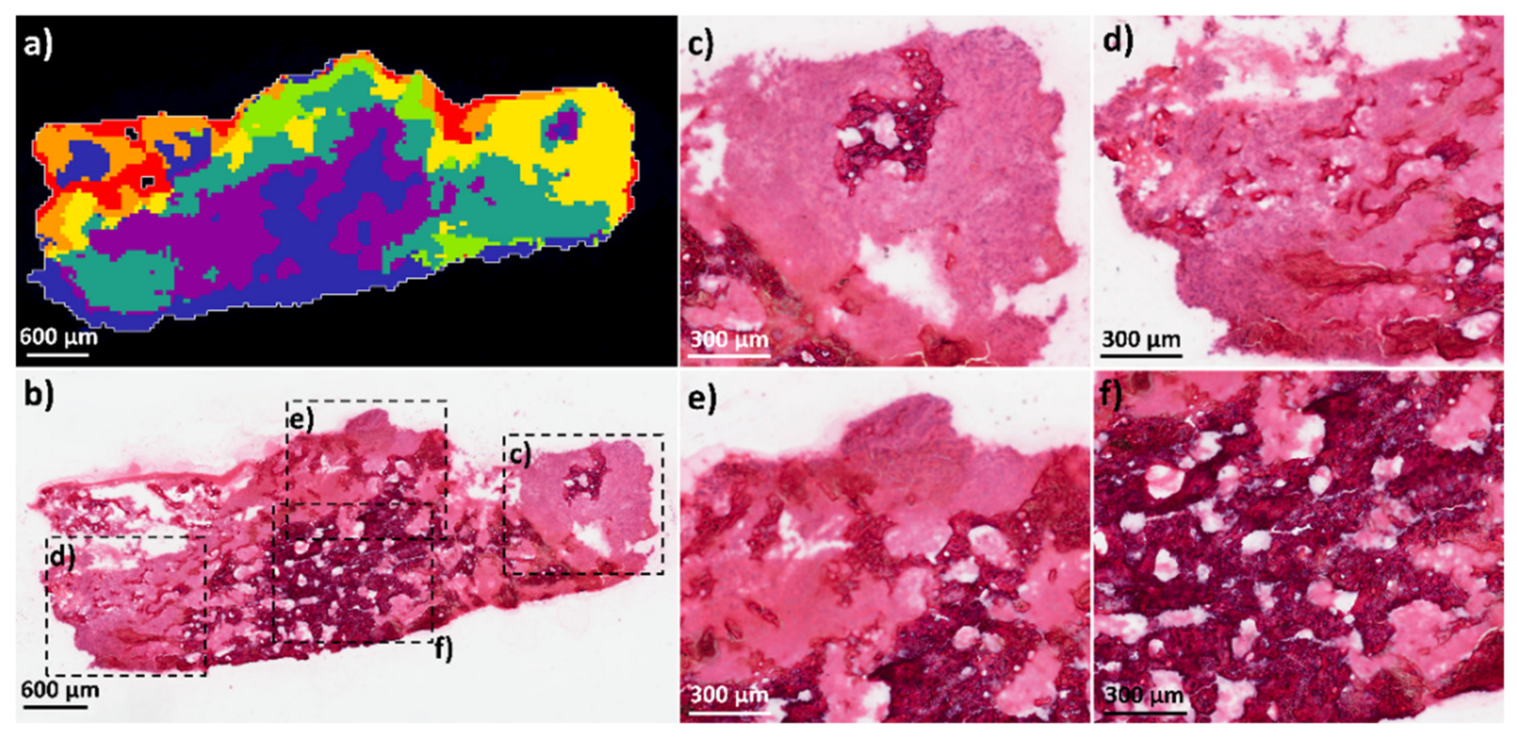 Metabolites 11 00506 g005