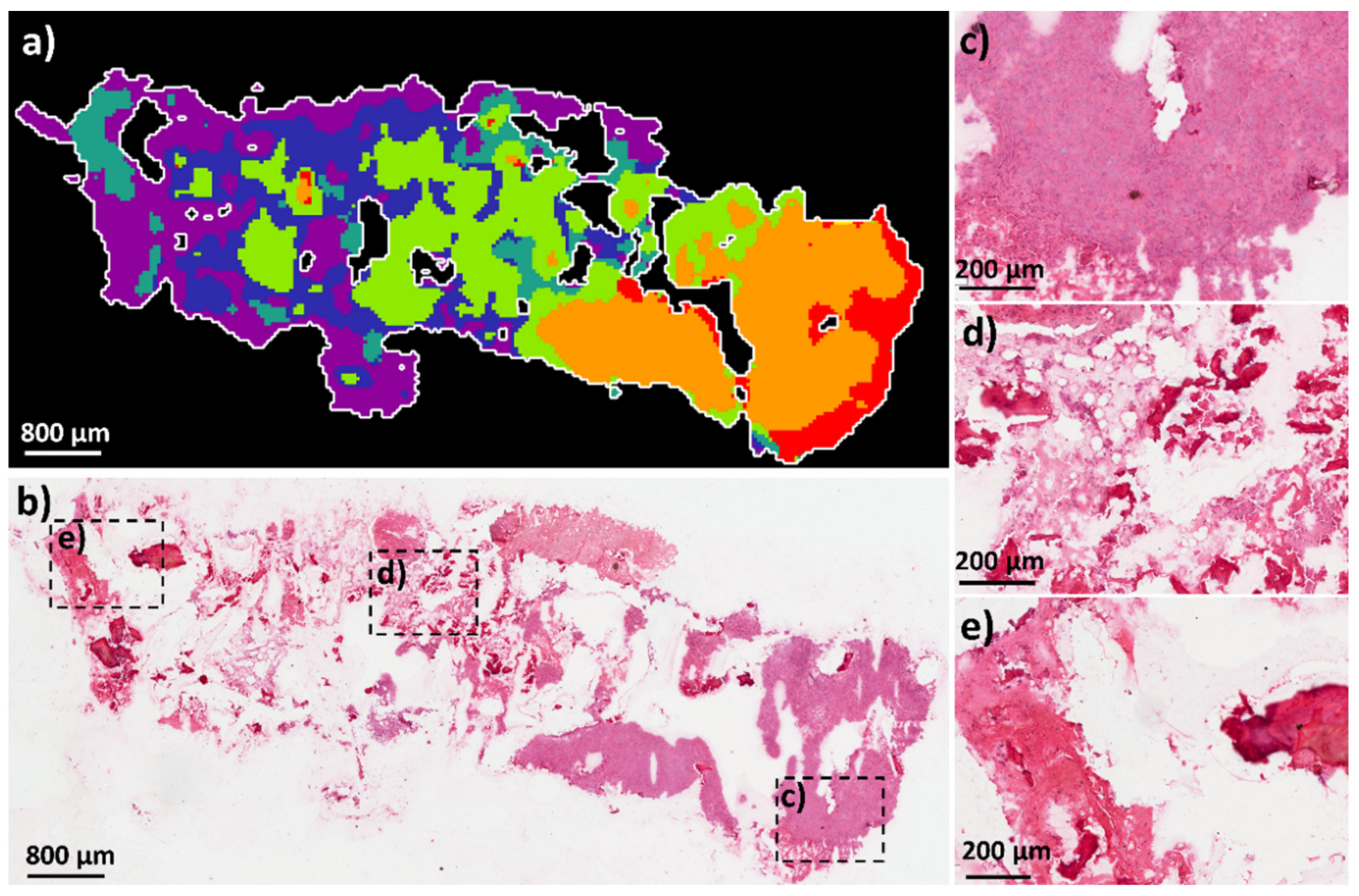 Metabolites 11 00506 g006