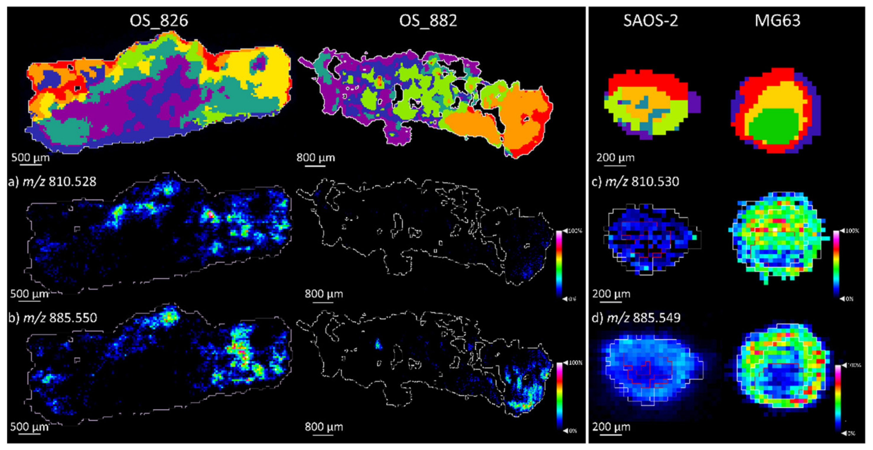 Metabolites 11 00506 g009