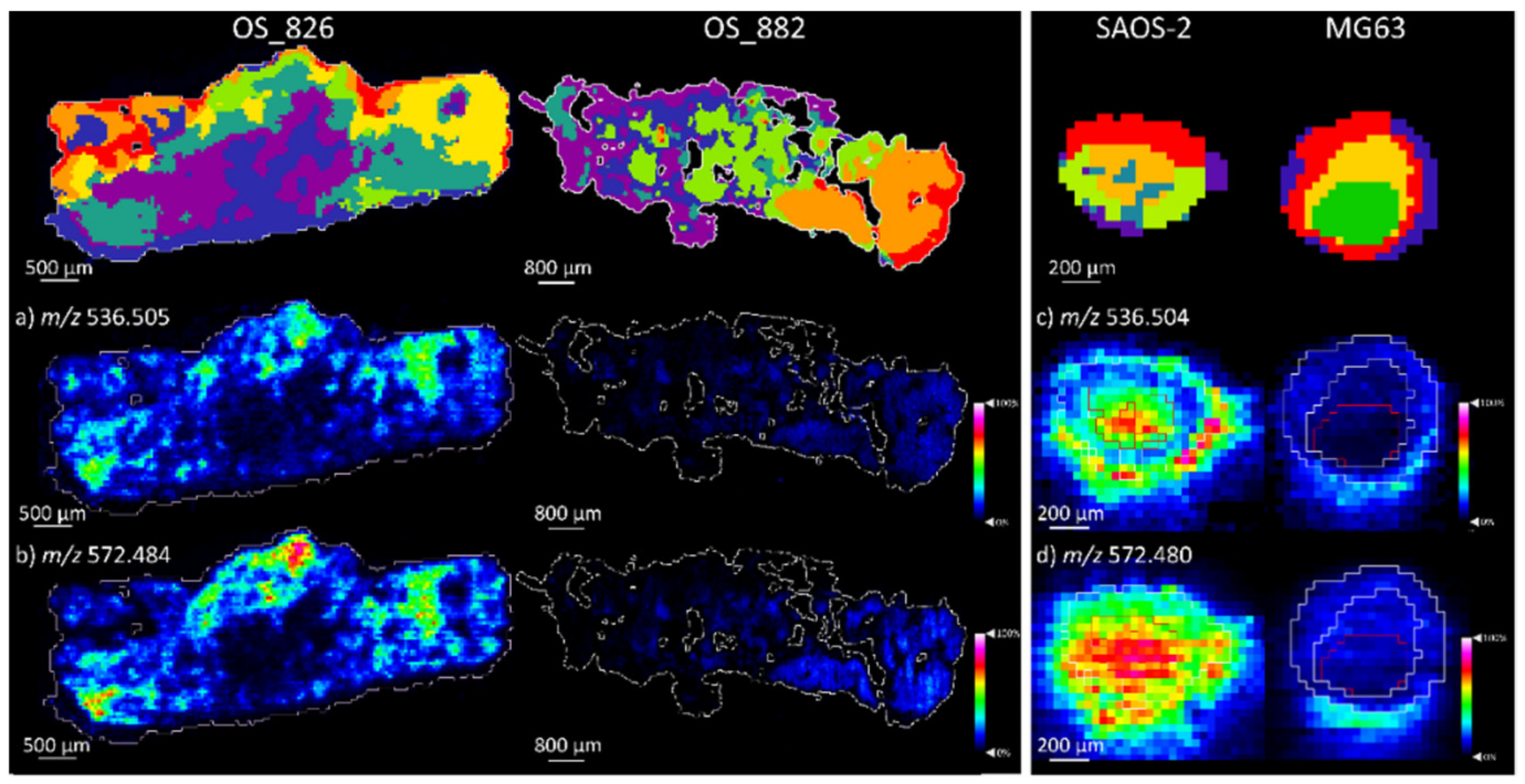 Metabolites 11 00506 g010