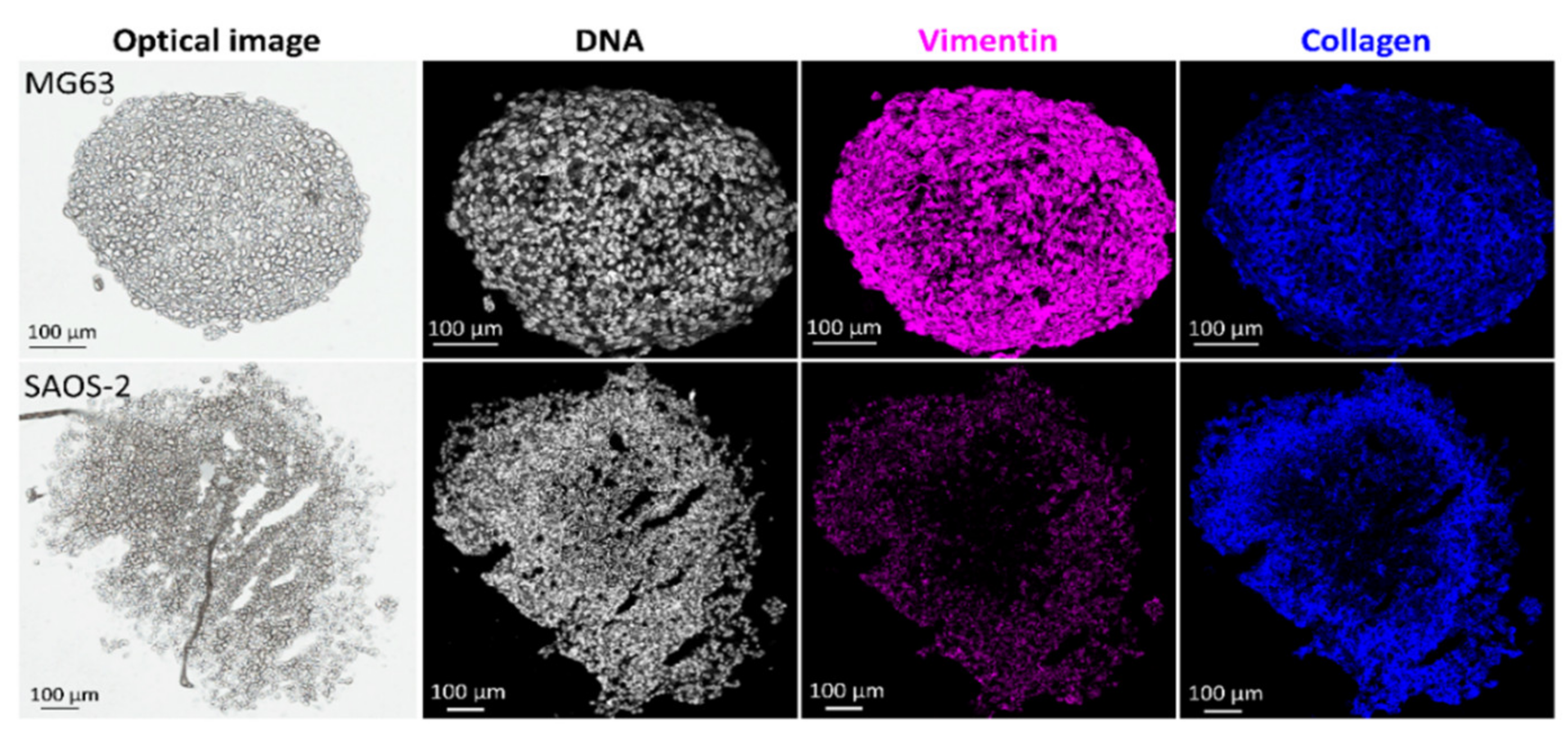 Metabolites 11 00506 g011