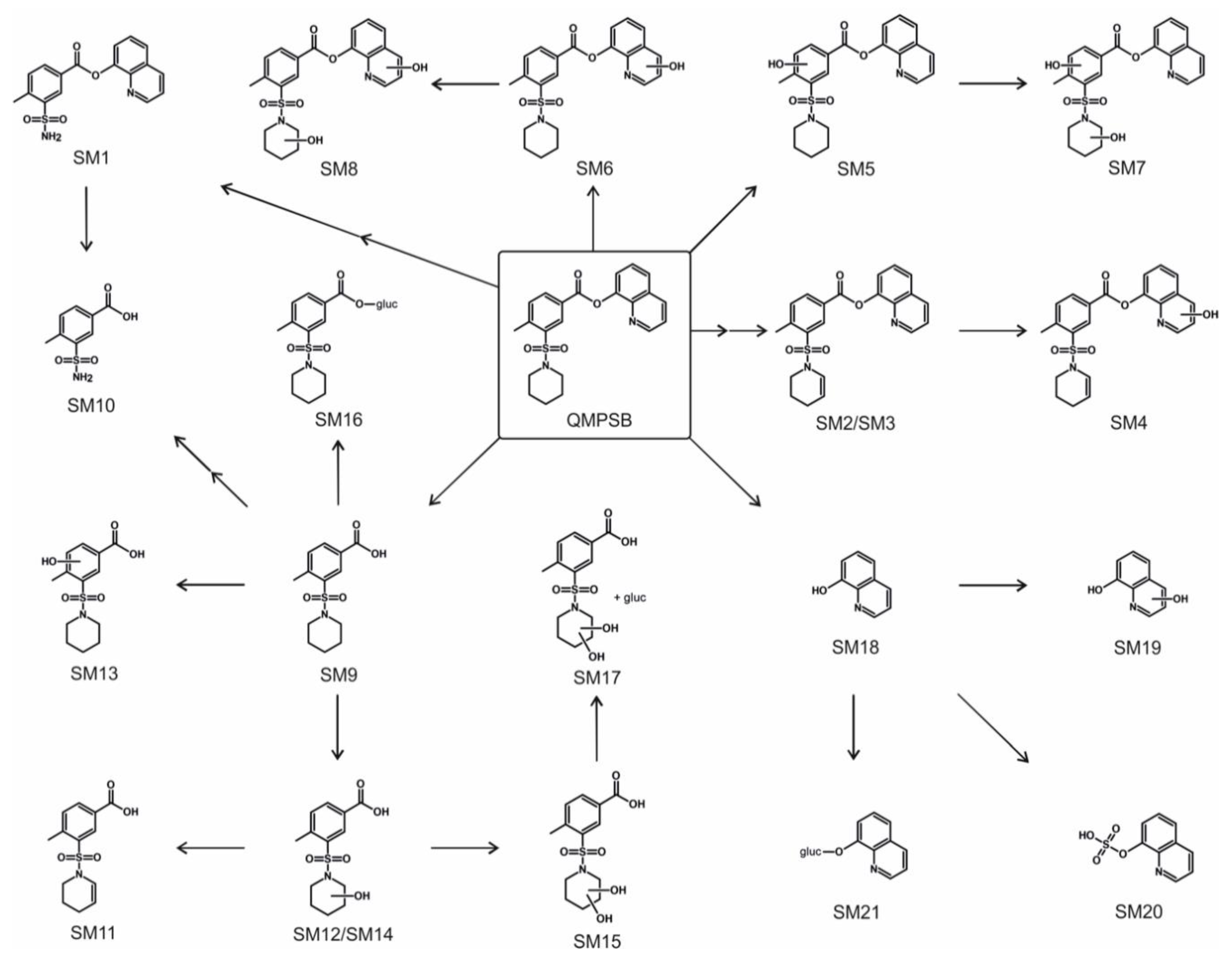 Metabolites 11 00509 g004