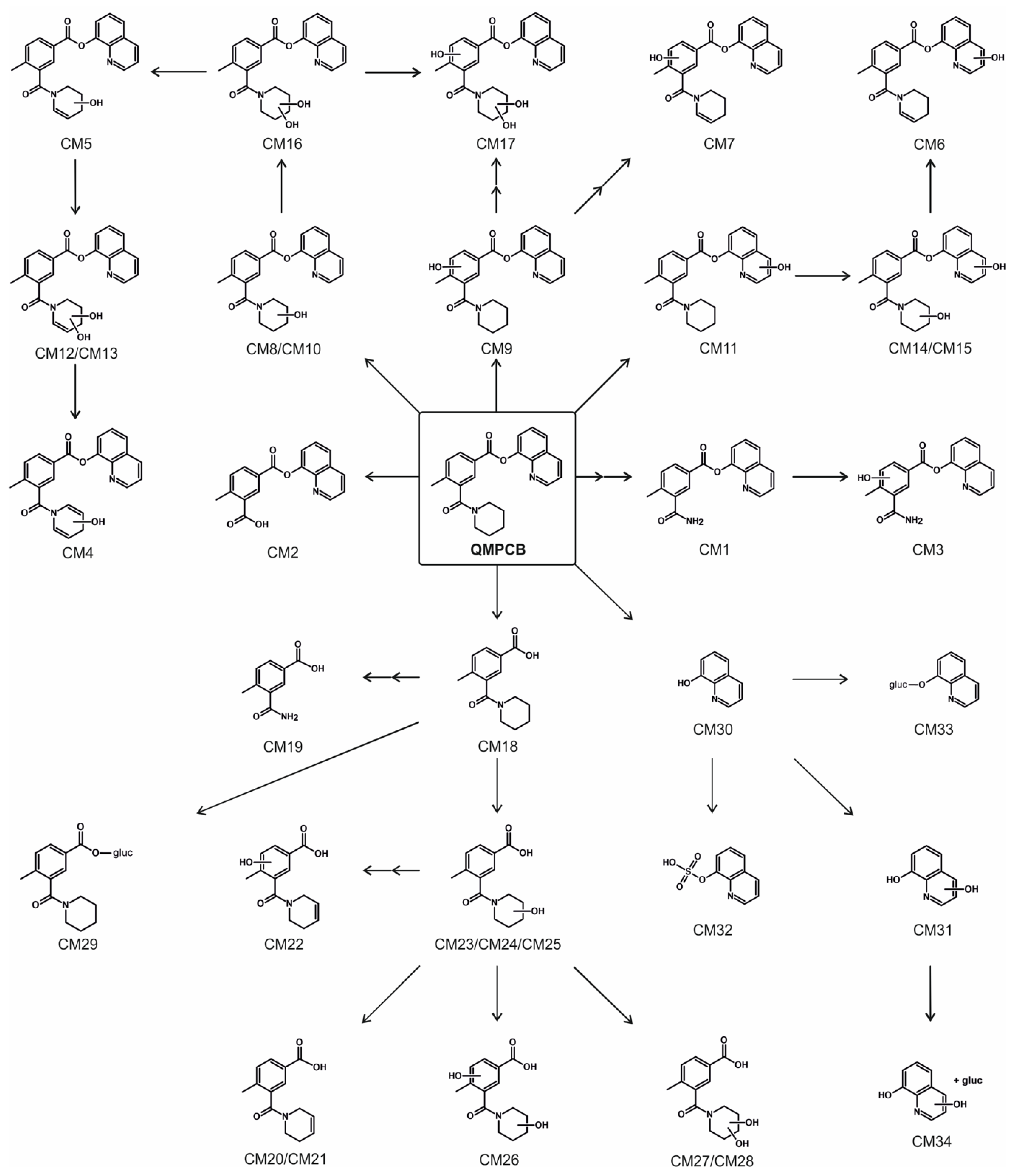 Metabolites 11 00509 g005