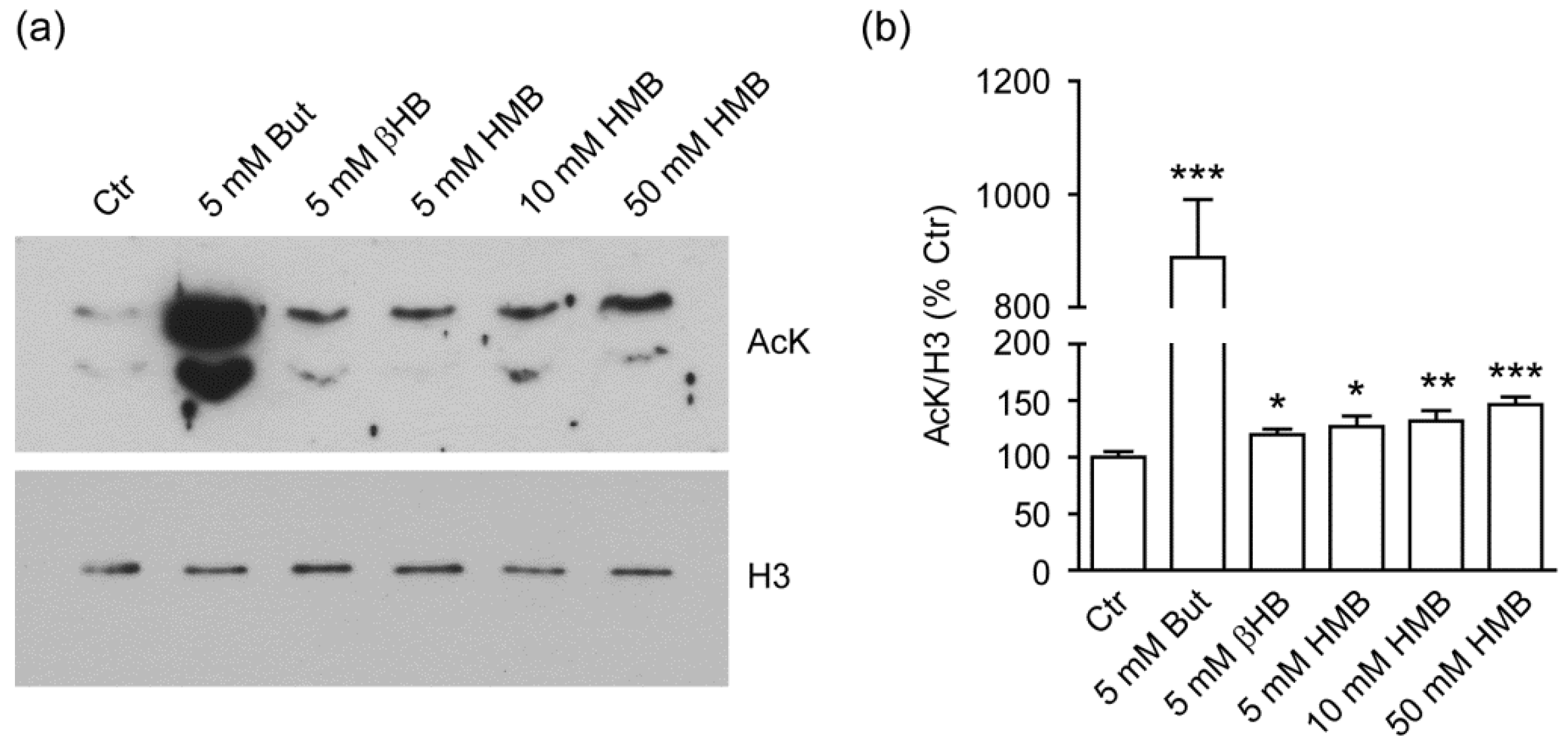 Metabolites 11 00512 g001