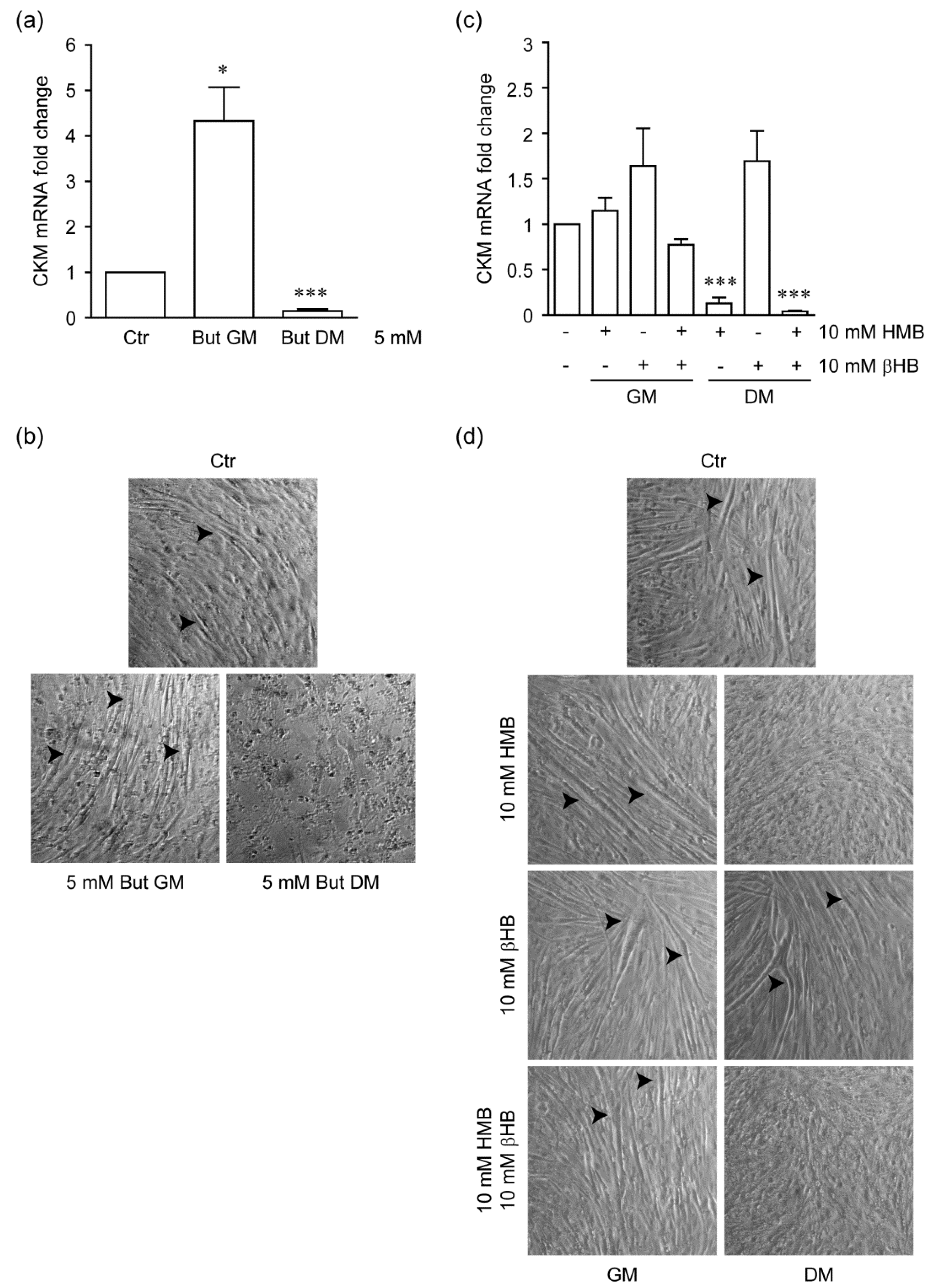Metabolites 11 00512 g003