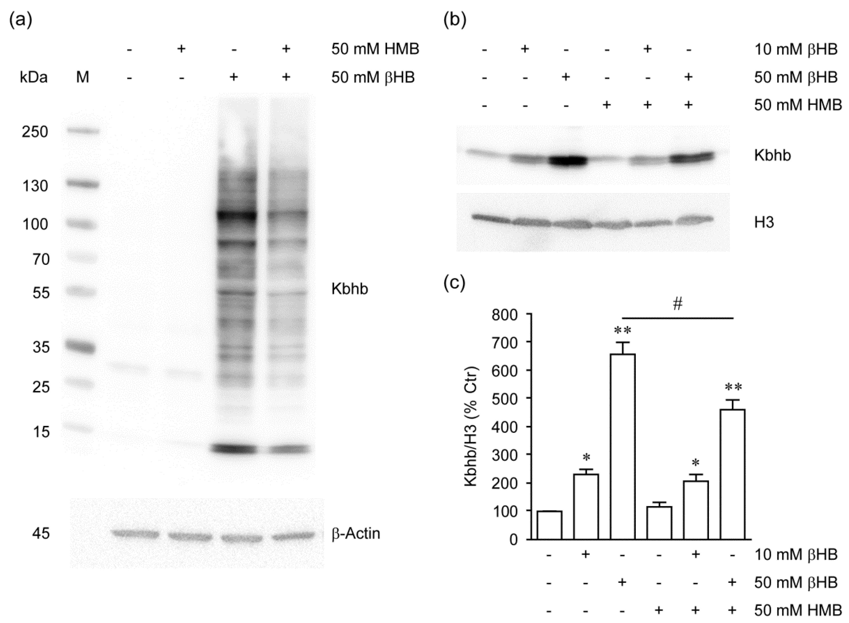 Metabolites 11 00512 g004