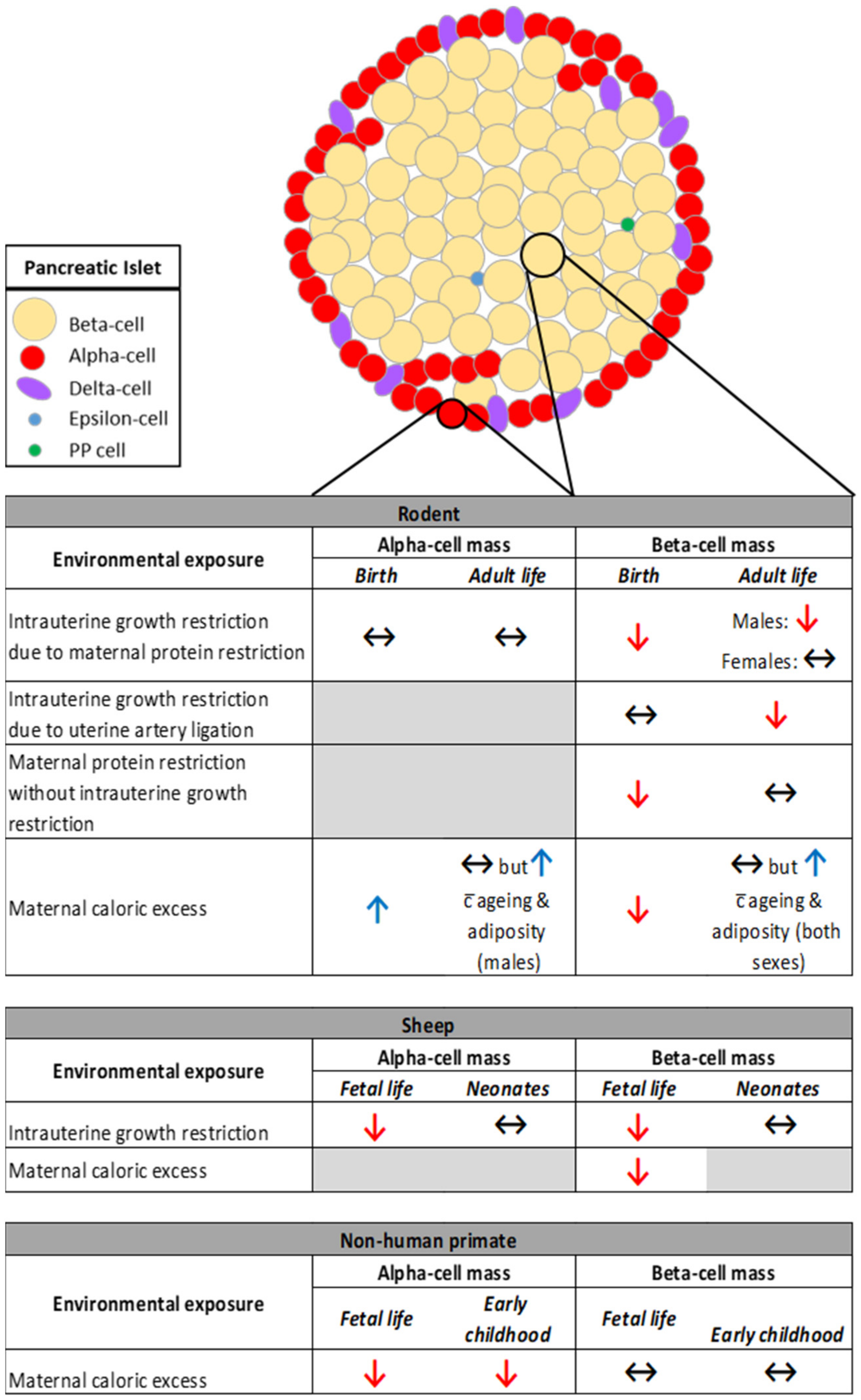Metabolites 11 00514 g001 Metabolites 11 00514 g001