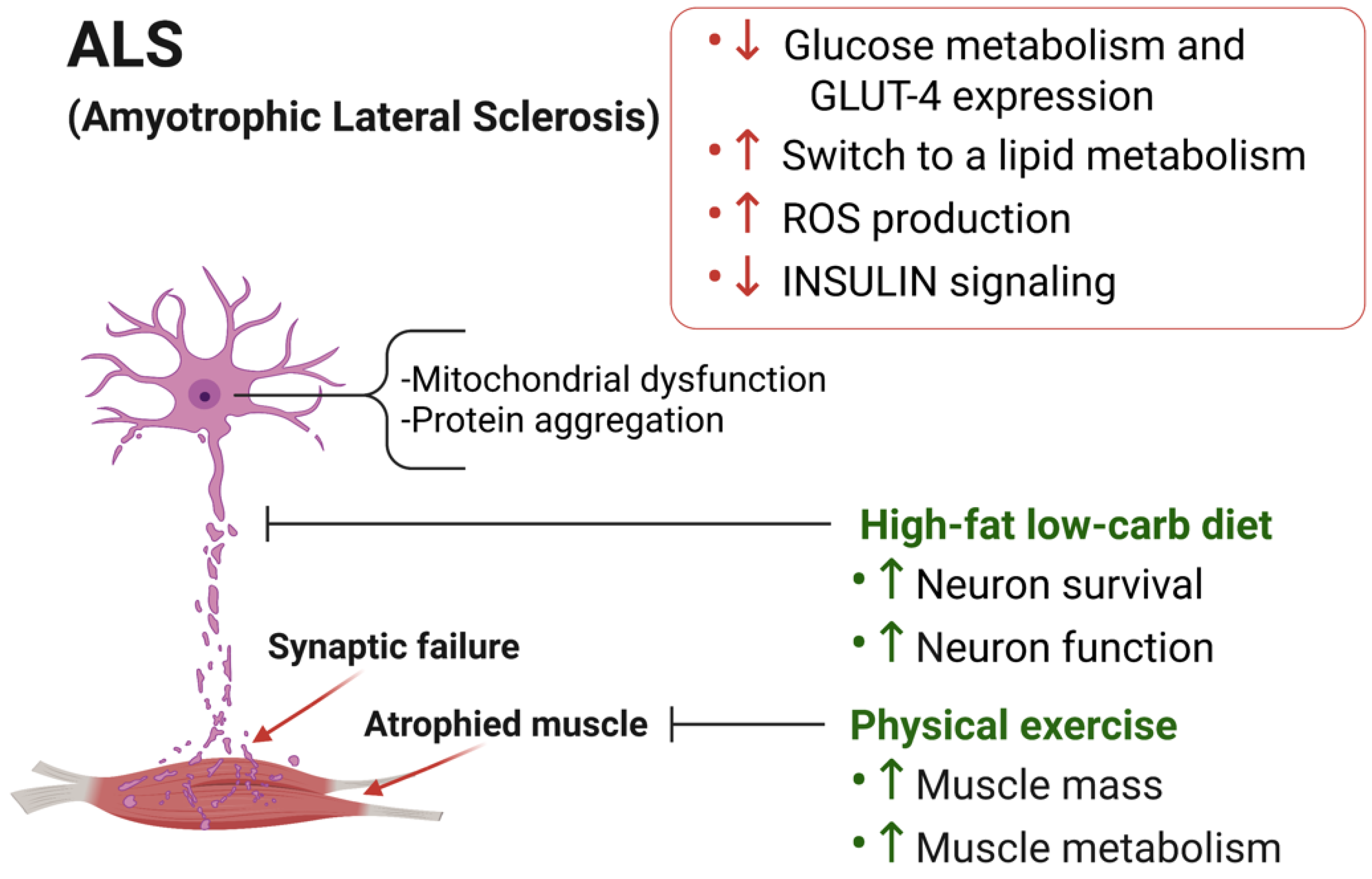 Metabolites 11 00517 g002