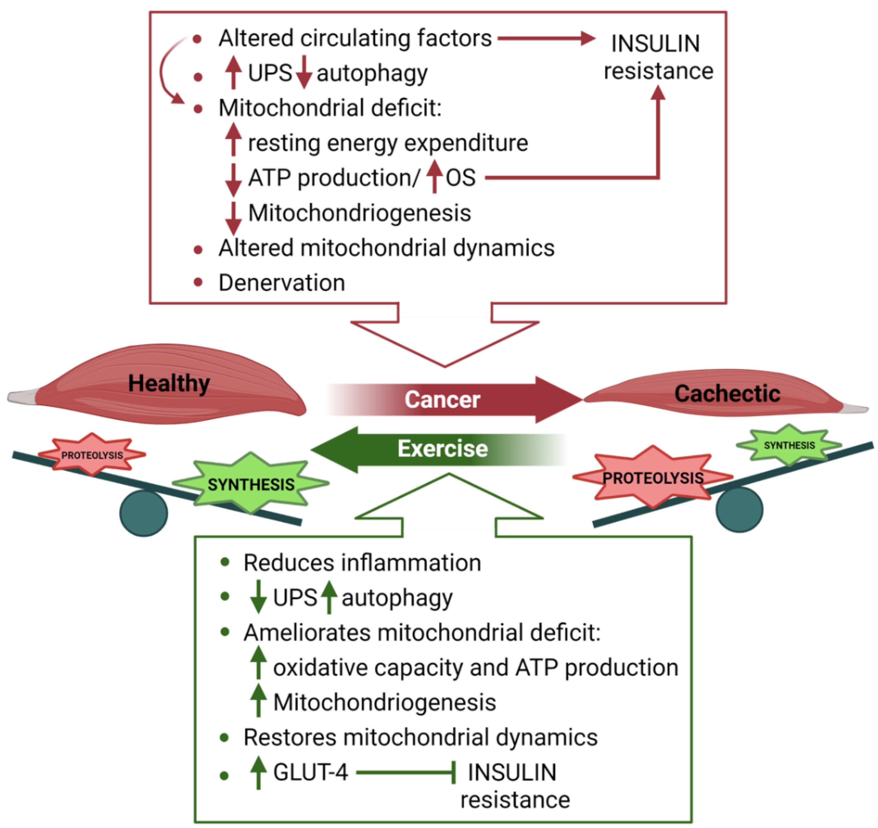 Metabolites 11 00517 g003