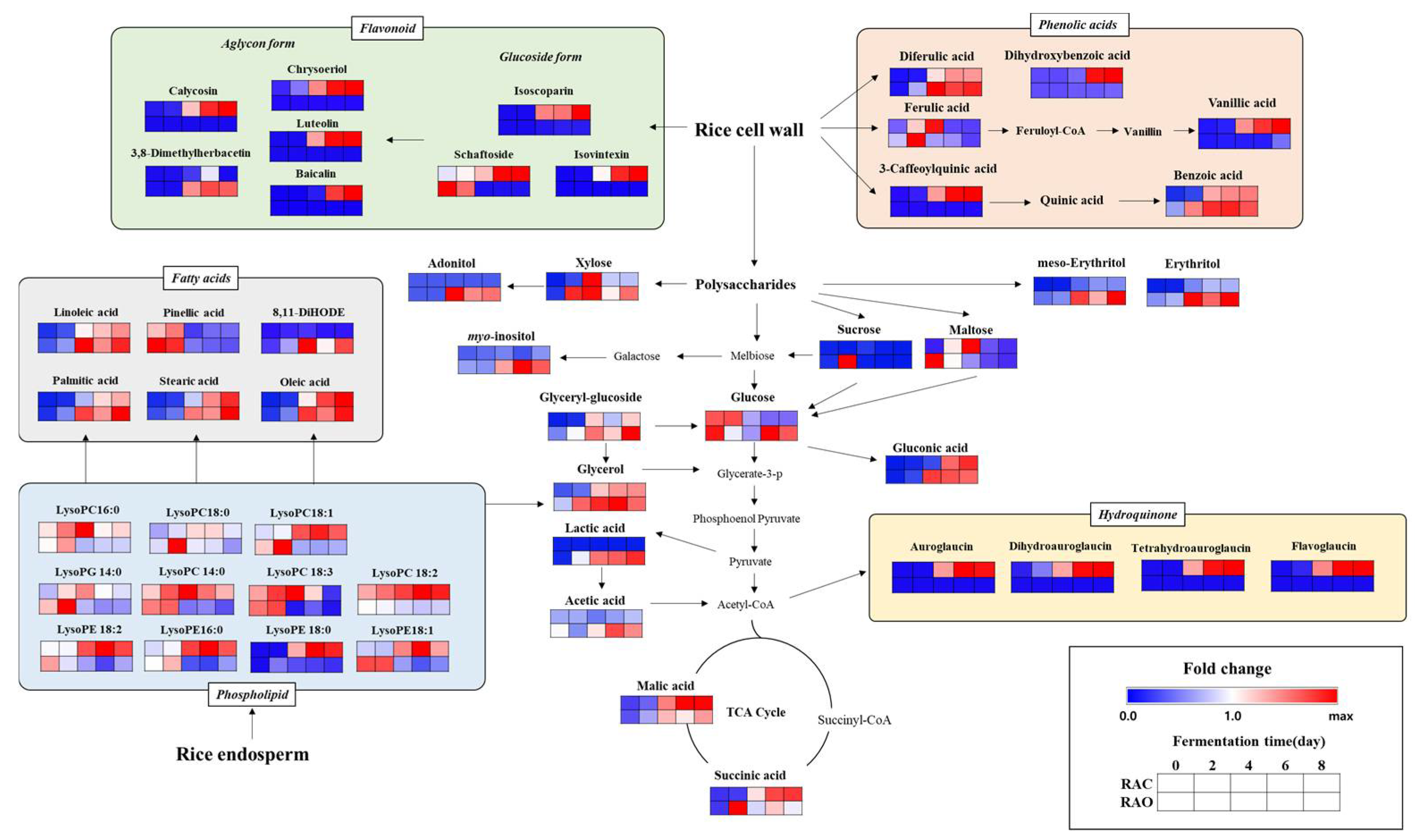 Metabolites 11 00524 g002