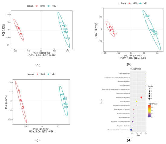 Identification of Key Volatiles Differentiating Aromatic