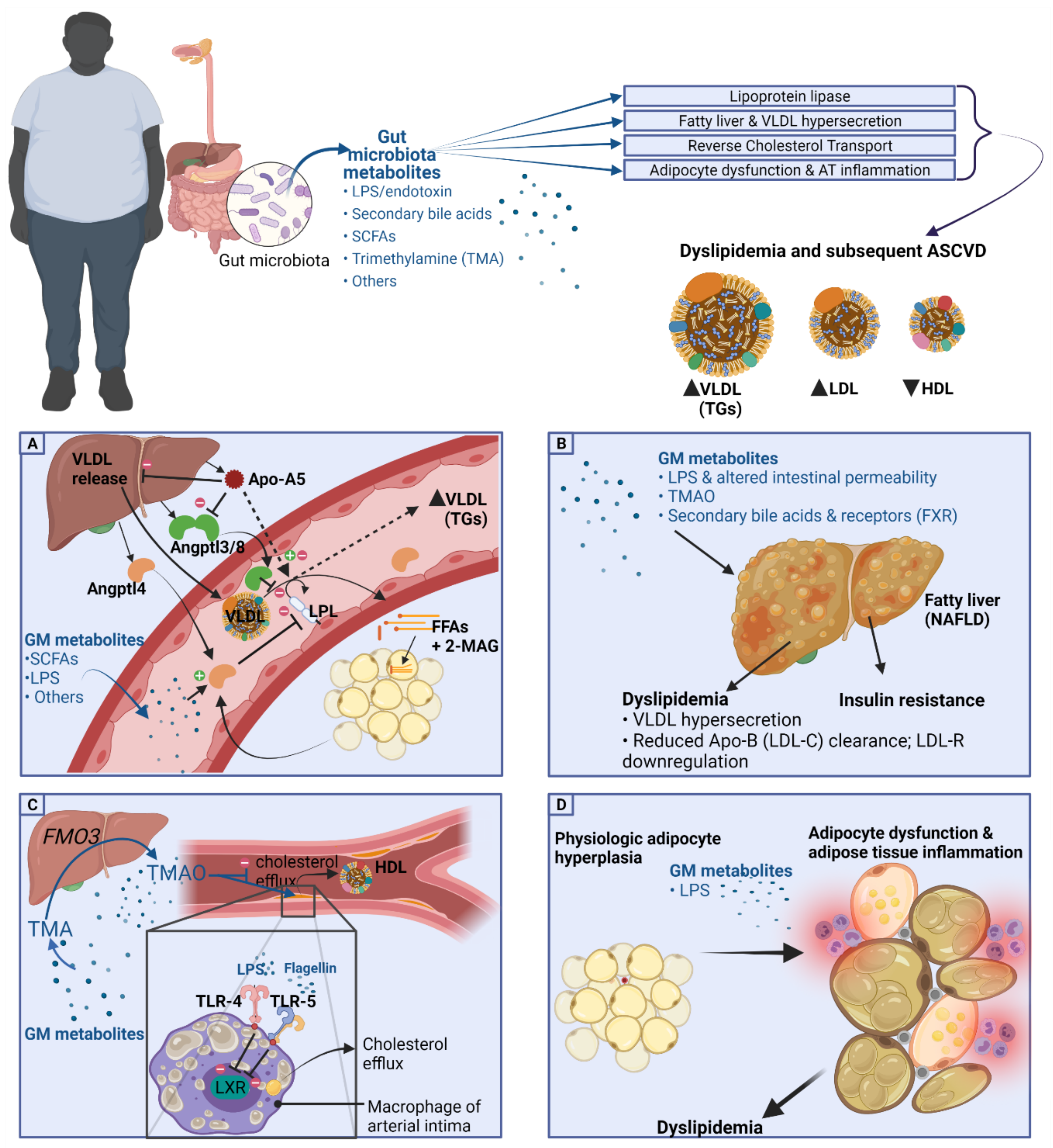Metabolites 11 00531 g002 Metabolites 11 00531 g002