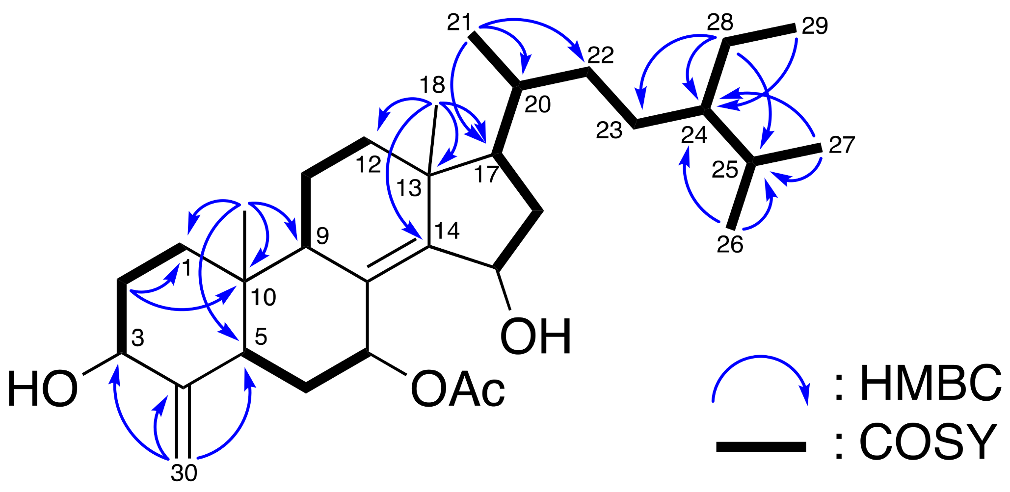 Metabolites 11 00532 g002