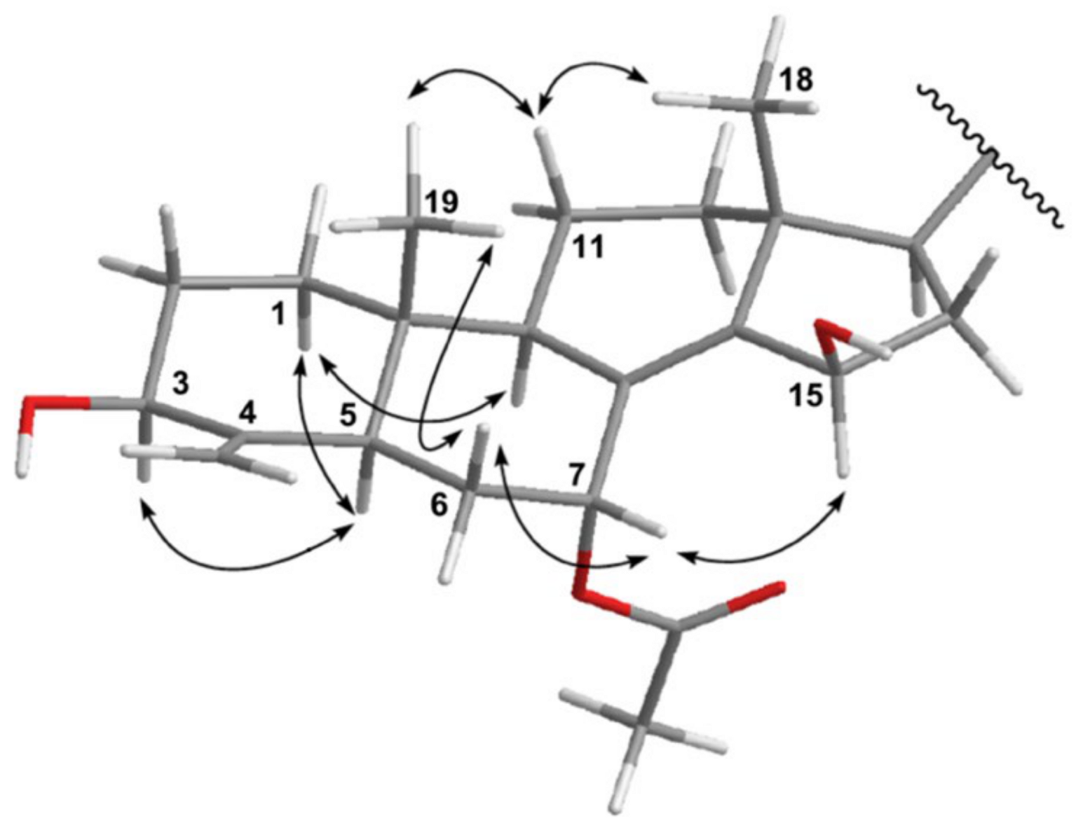 Metabolites 11 00532 g003
