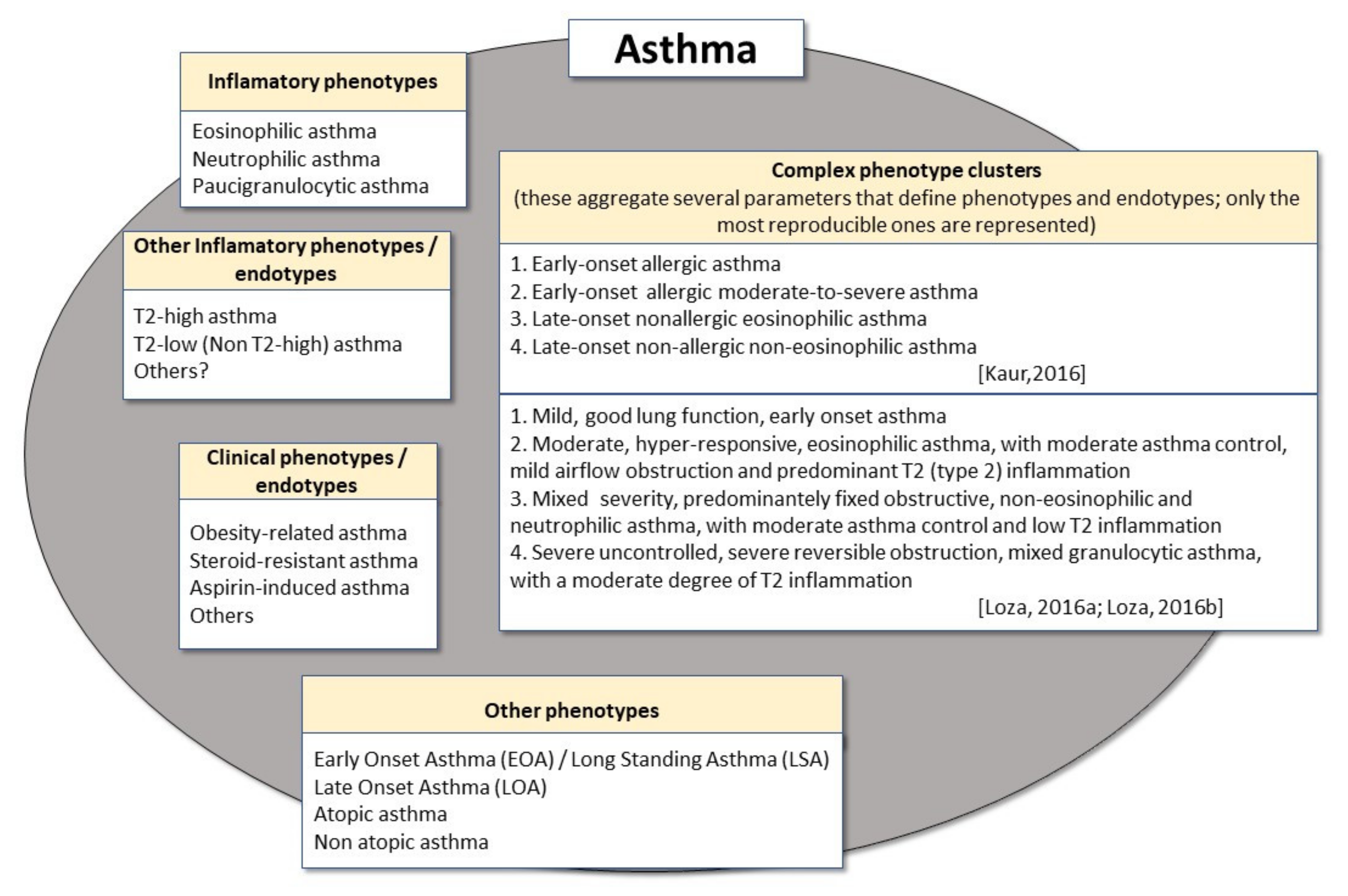 Metabolites 11 00534 g001 Metabolites 11 00534 g001