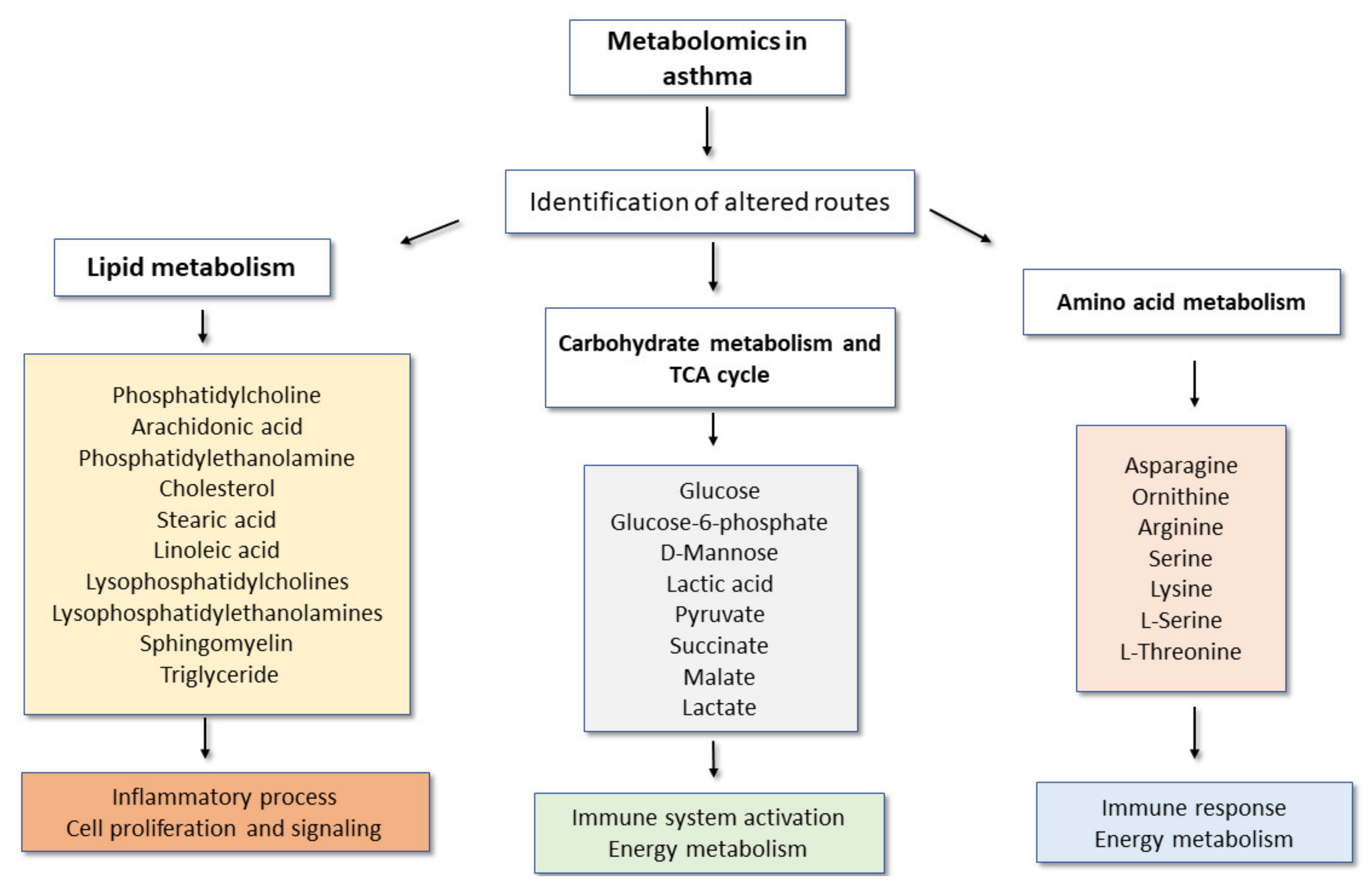 Metabolites 11 00534 g002 Metabolites 11 00534 g002