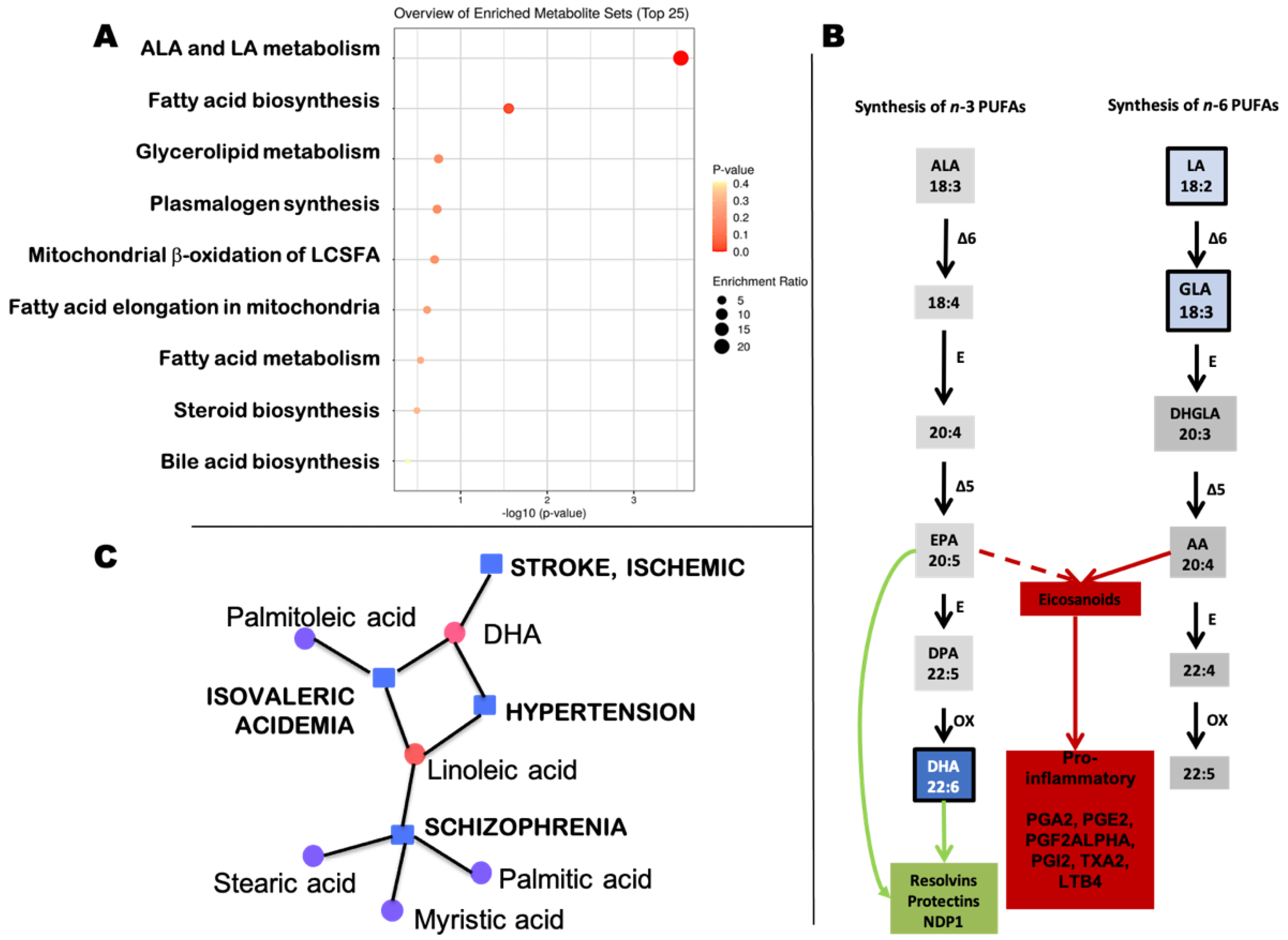 Metabolites 11 00545 g001 Metabolites 11 00545 g001