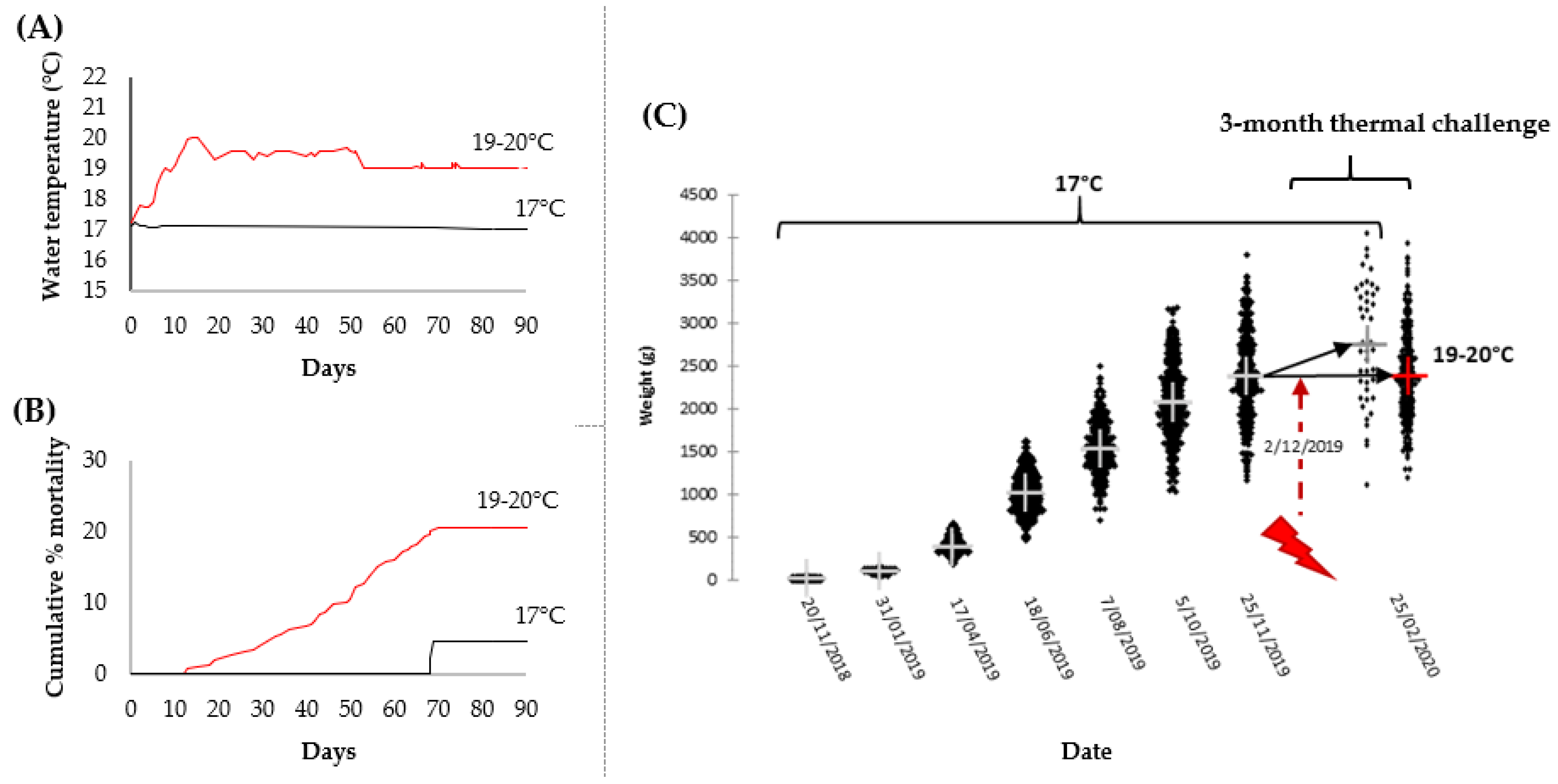 Metabolites 11 00547 g001