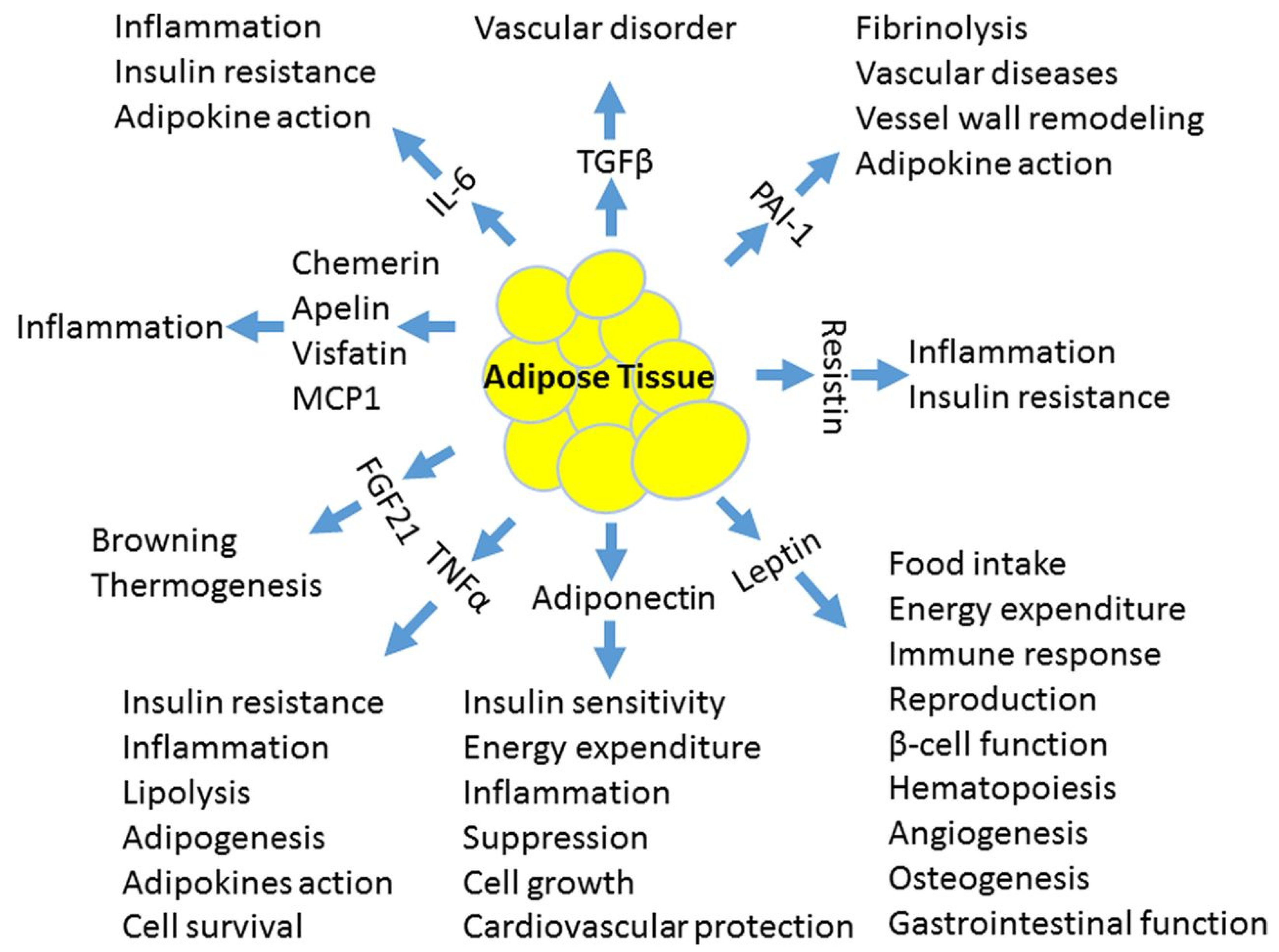 Metabolites 11 00551 g001 Metabolites 11 00551 g001