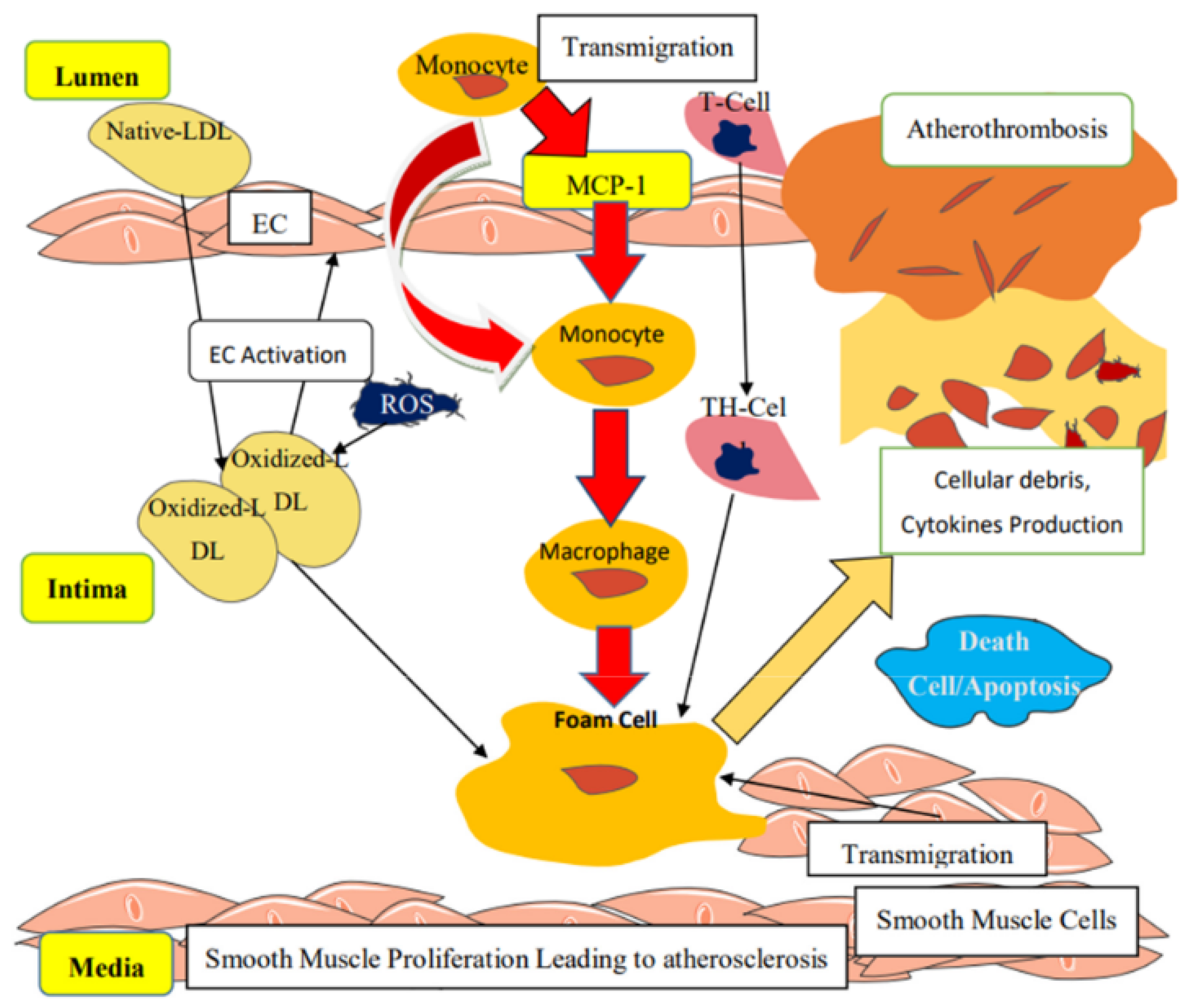 Metabolites 11 00551 g002 Metabolites 11 00551 g002