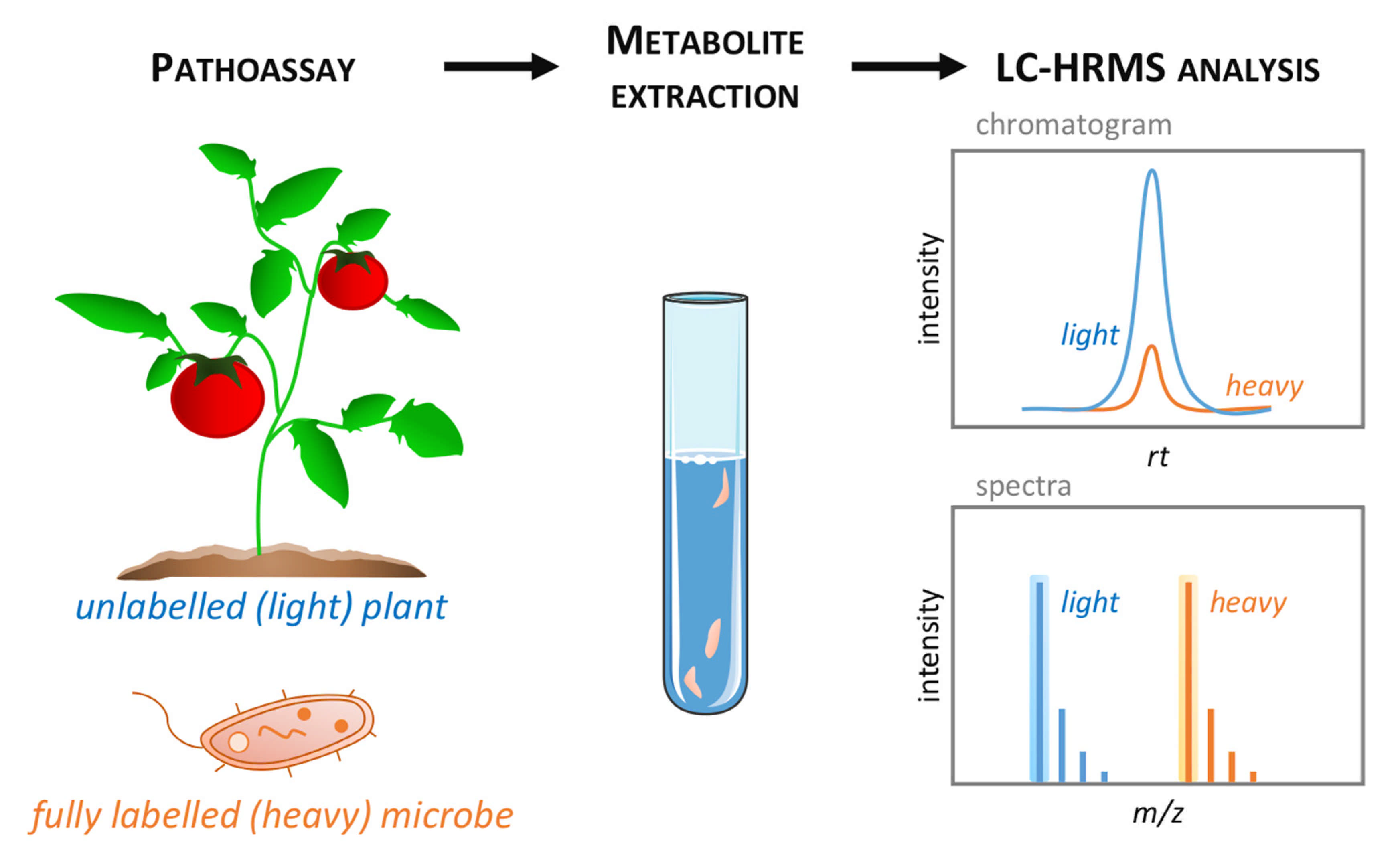 Metabolites 11 00558 g003 550