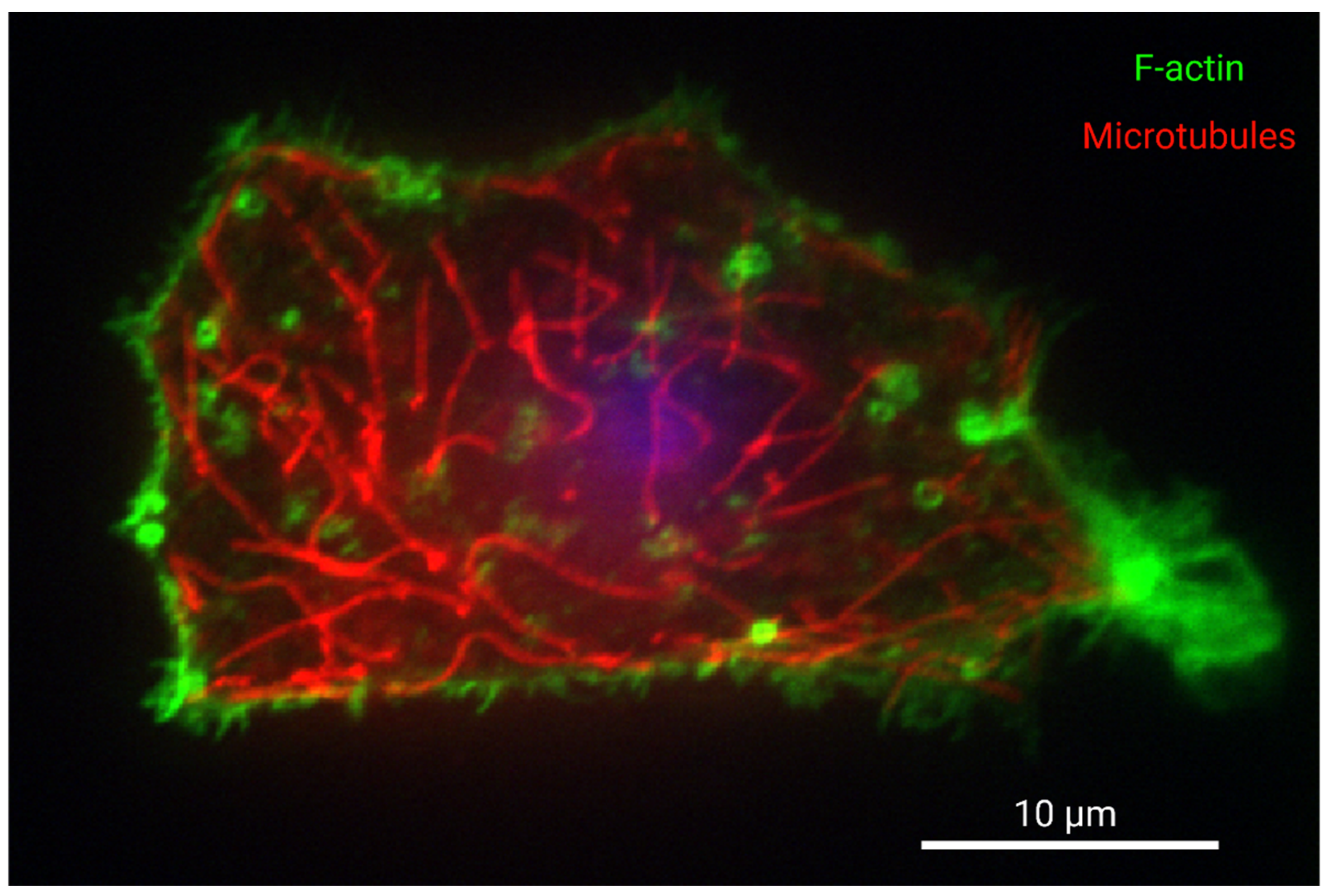 Metabolites 11 00561 g001 Metabolites 11 00561 g001