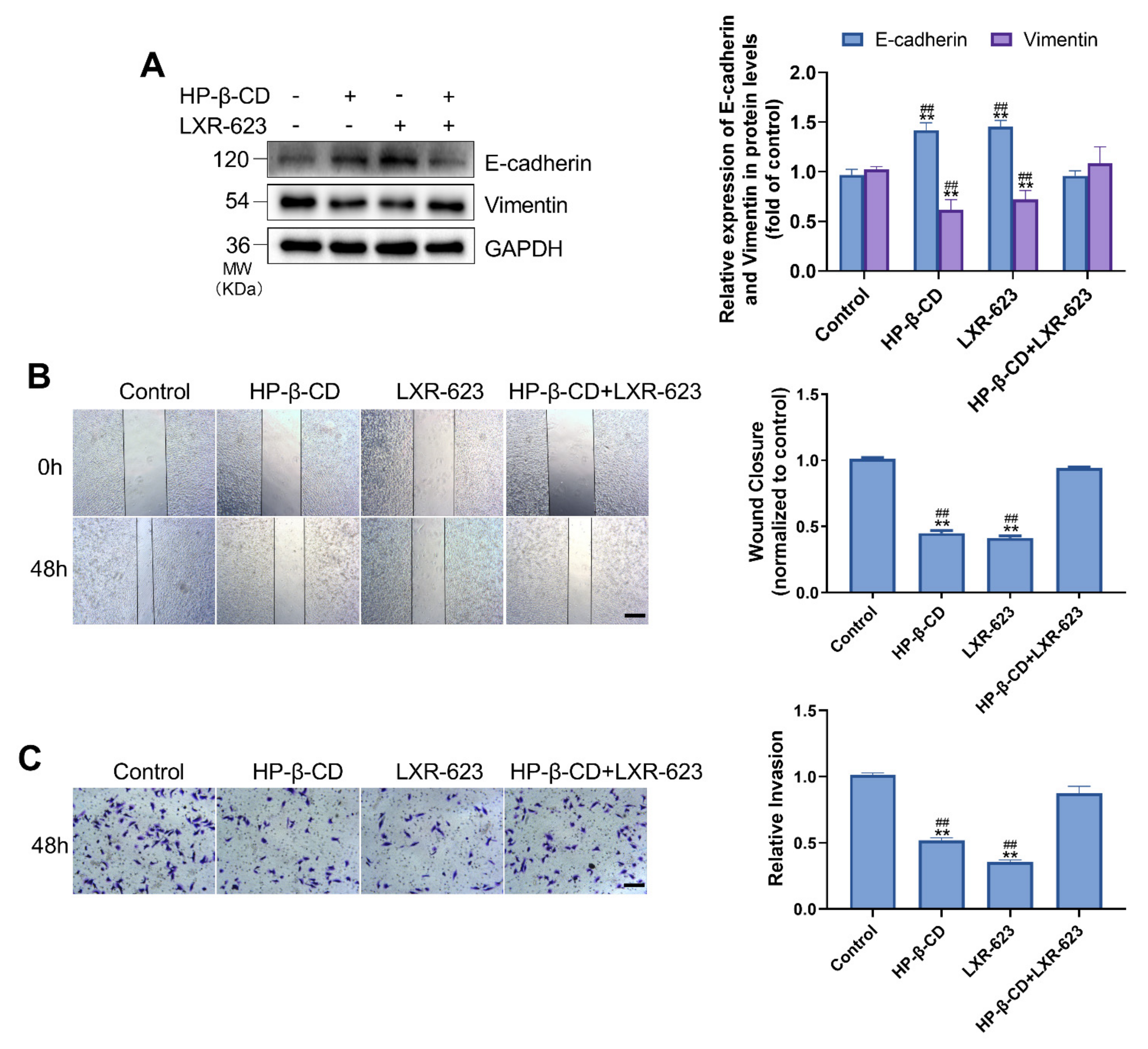 Metabolites 11 00562 g002