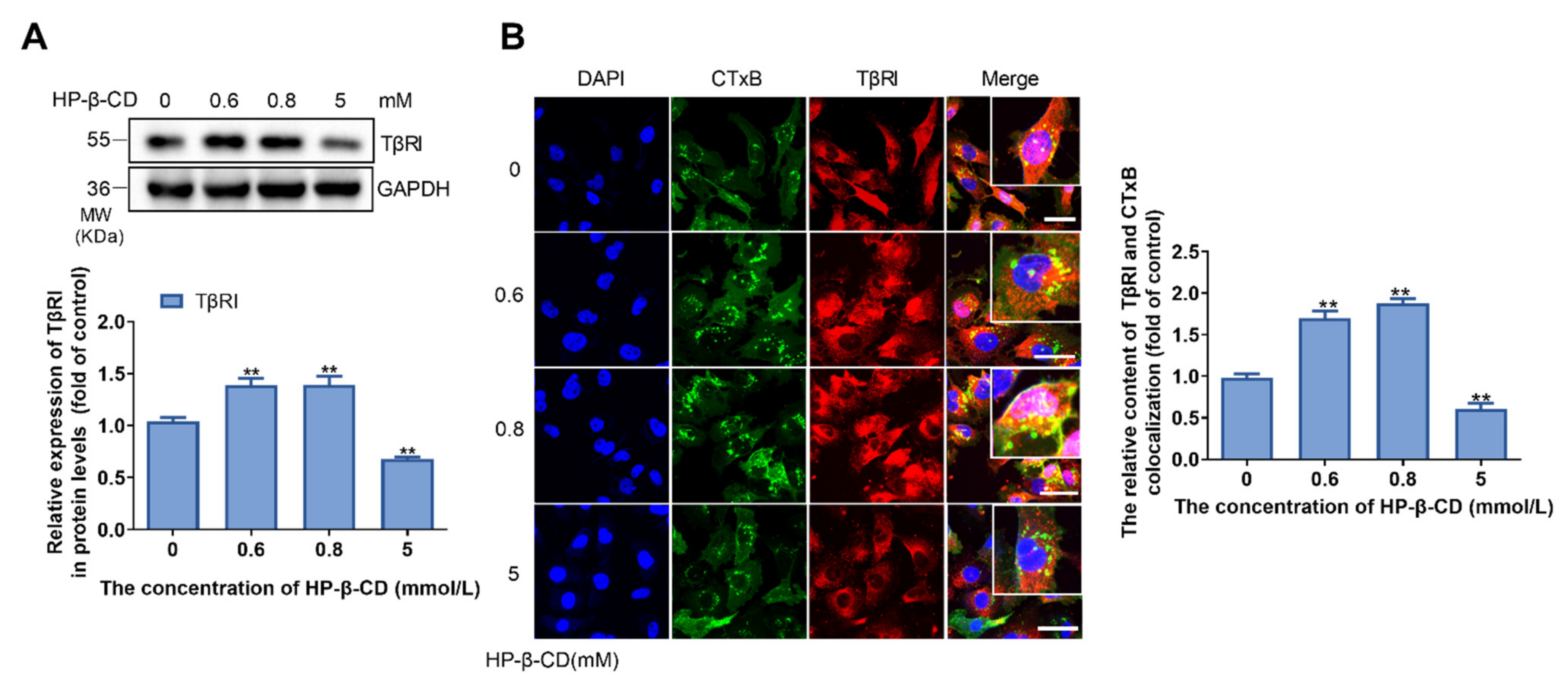 Metabolites 11 00562 g006