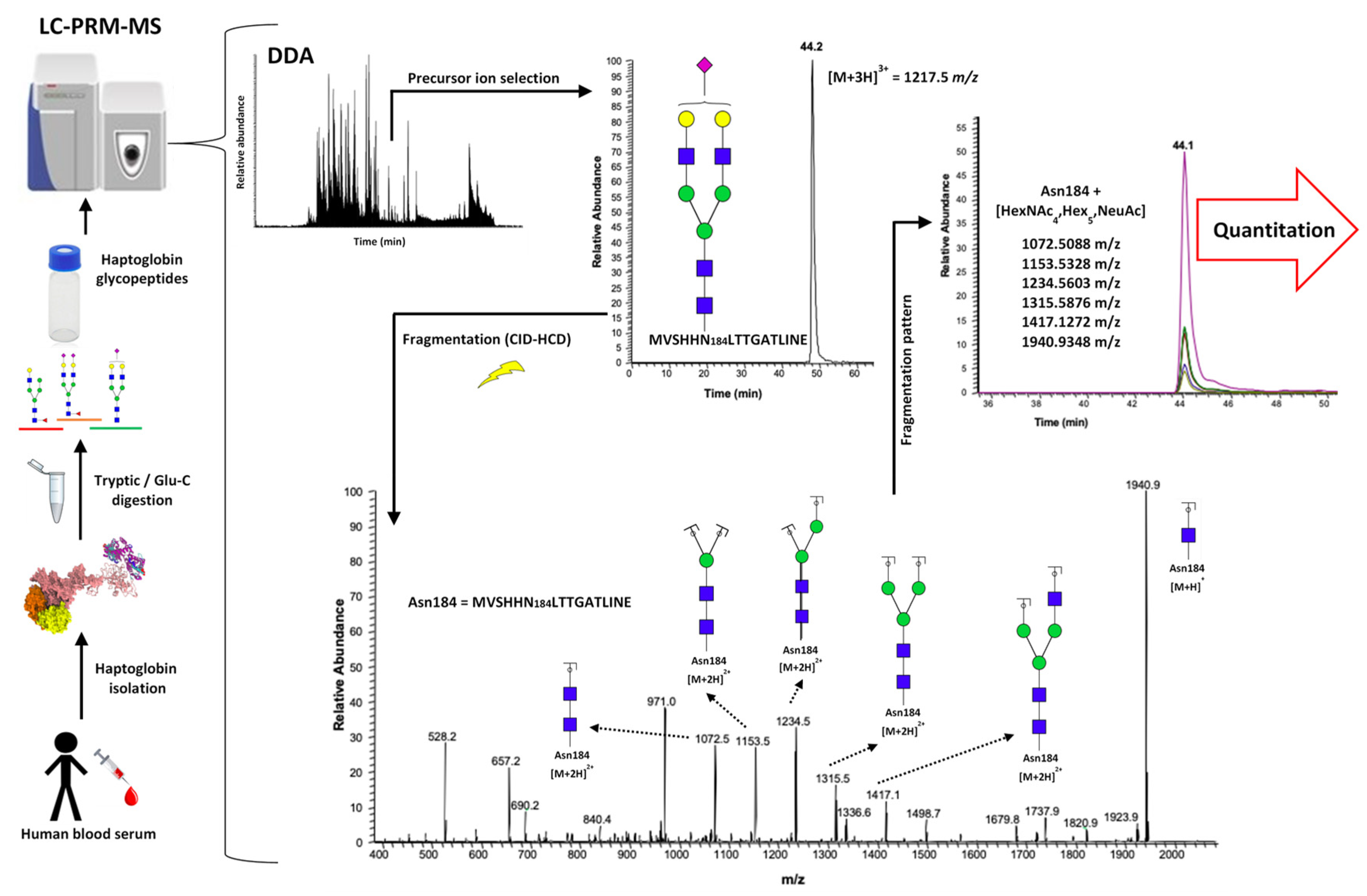 Metabolites 11 00563 g001