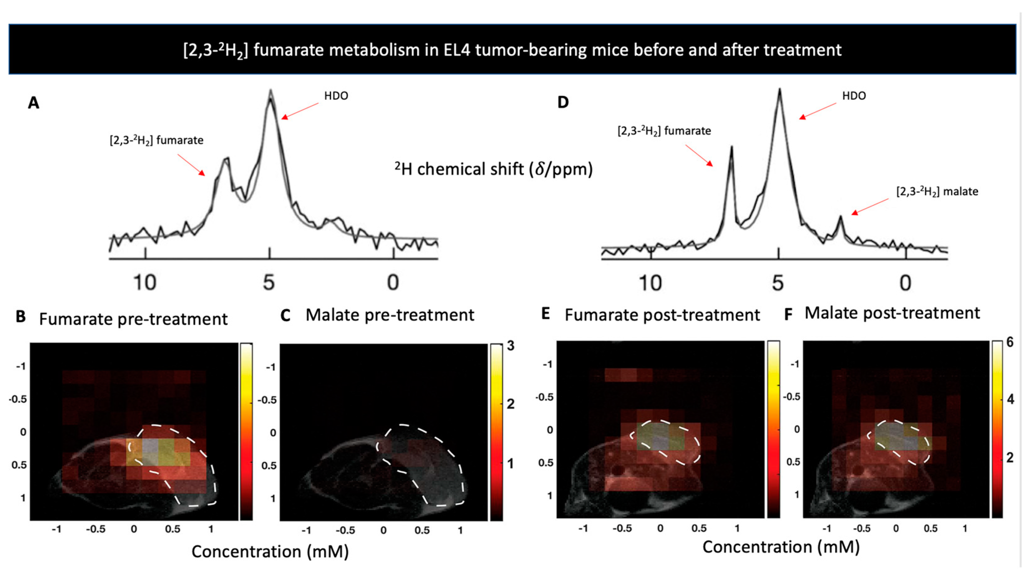 Metabolites 11 00570 g002 Metabolites 11 00570 g002