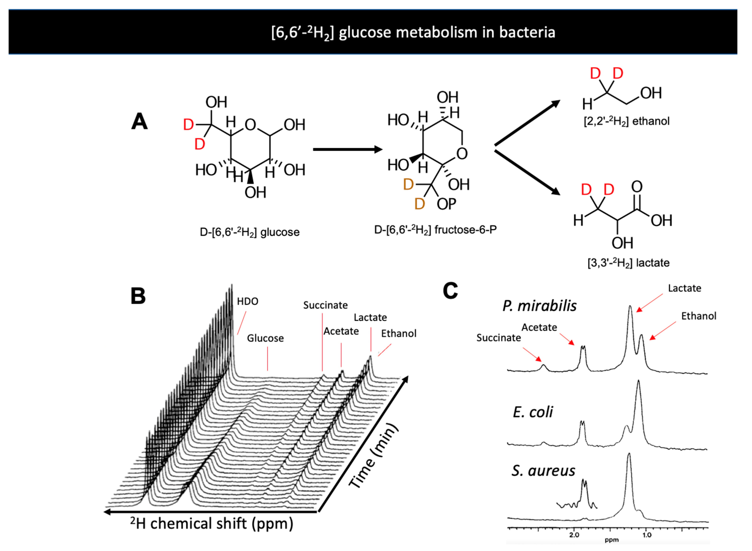 Metabolites 11 00570 g003 Metabolites 11 00570 g003