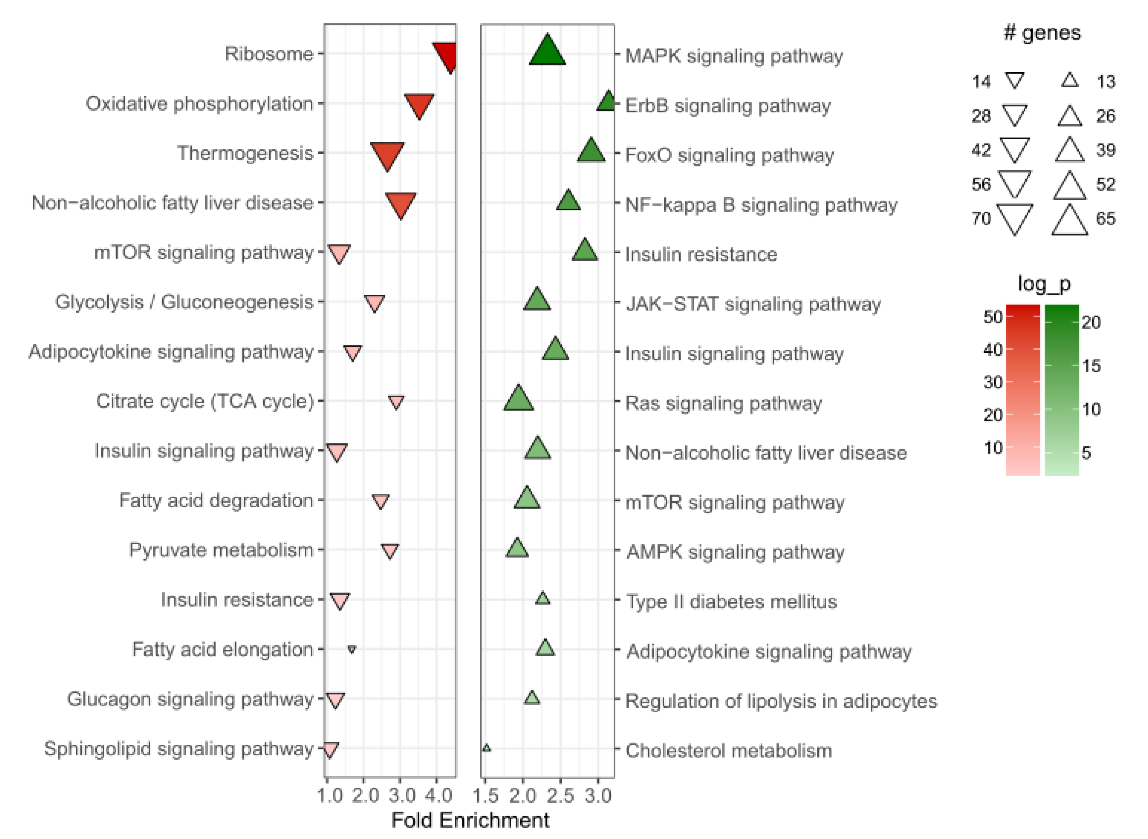 Metabolites 11 00574 g001