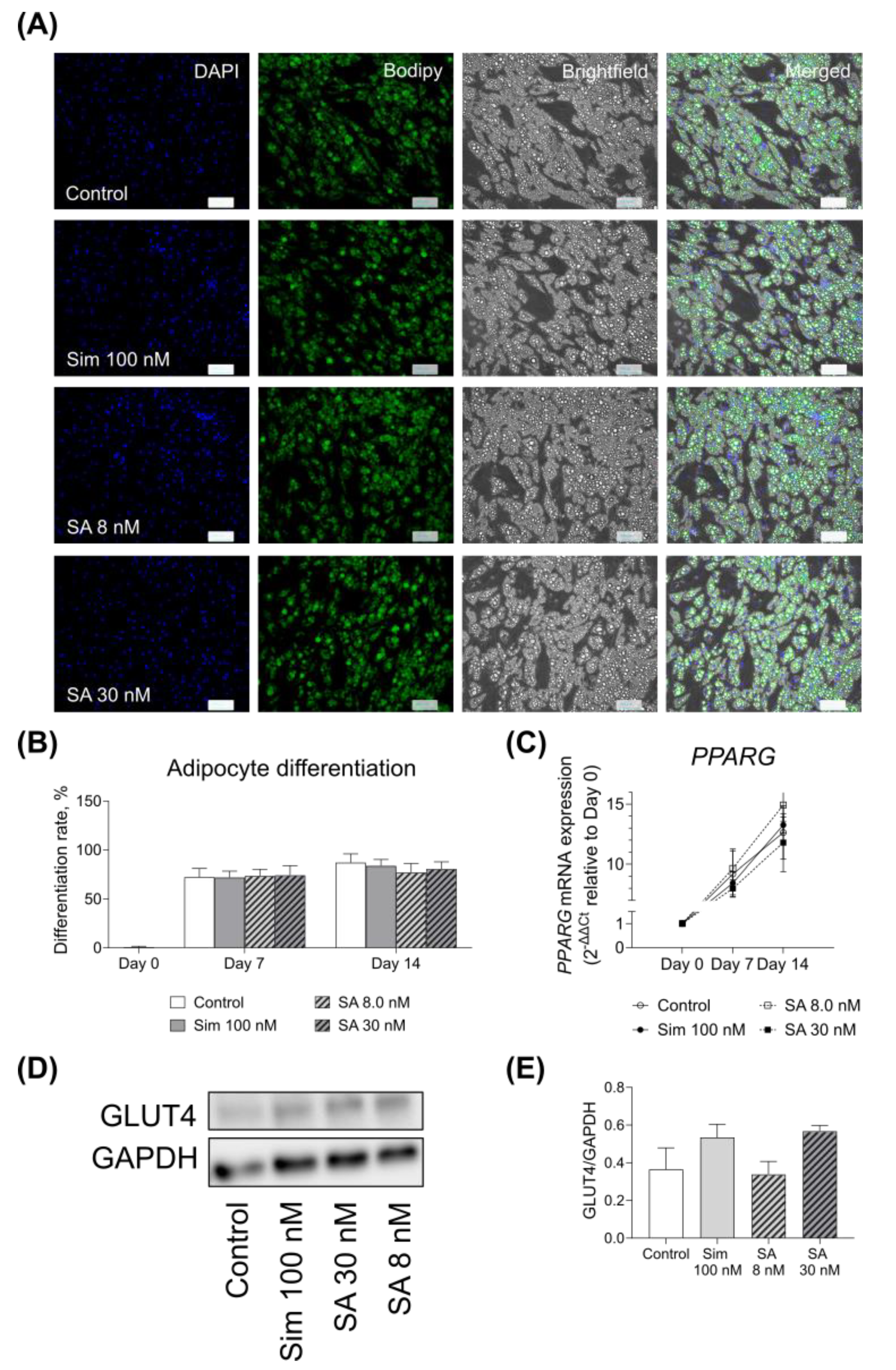 Metabolites 11 00574 g003