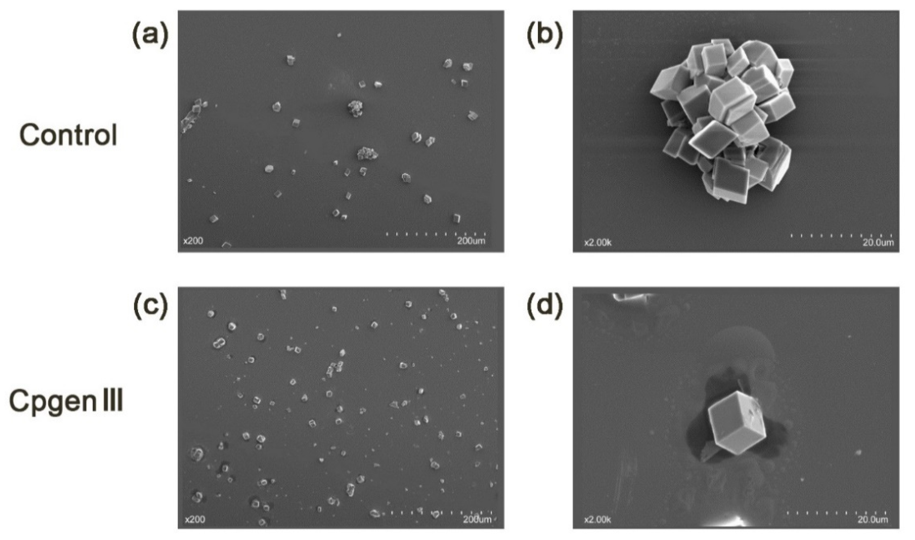 Metabolites 11 00575 g004